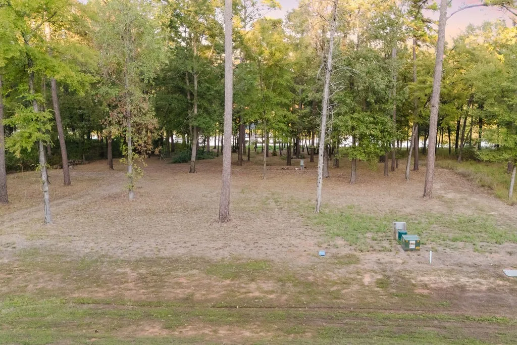 Improved Land For Sale in Camp County , TBD Private Road 52416 Road, Leesburg, Texas 75451, 0, 0, Garage spaces, 0 Sqft, built in 2024, mls#21409868, Real Estate Agent in Leesburg, Homes For Sale in Camp county, Homes For Sale in Leesburg, Realtor in Leesburg Texas, Real Estate Brokerage Independent Realty Texas, Luminita Cordes Realtor