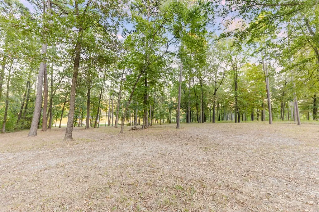 Improved Land For Sale in Camp County , TBD Private Road 52416 Road, Leesburg, Texas 75451, 0, 0, Garage spaces, 0 Sqft, built in 2024, mls#21409868, Real Estate Agent in Leesburg, Homes For Sale in Camp county, Homes For Sale in Leesburg, Realtor in Leesburg Texas, Real Estate Brokerage Independent Realty Texas, Luminita Cordes Realtor