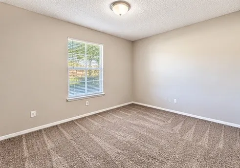 Window with blinds, wall-to-wall carpeting, neutral wall color, and a ceiling-mounted light fixture