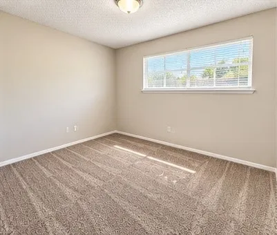 Wall-to-wall carpeting and a wide window with blinds
