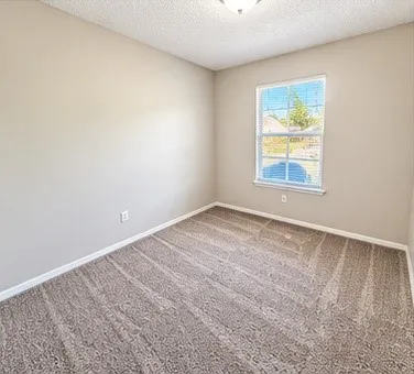 Neutral wall paint, textured ceiling, window with blinds, overhead light fixture, and carpeted flooring