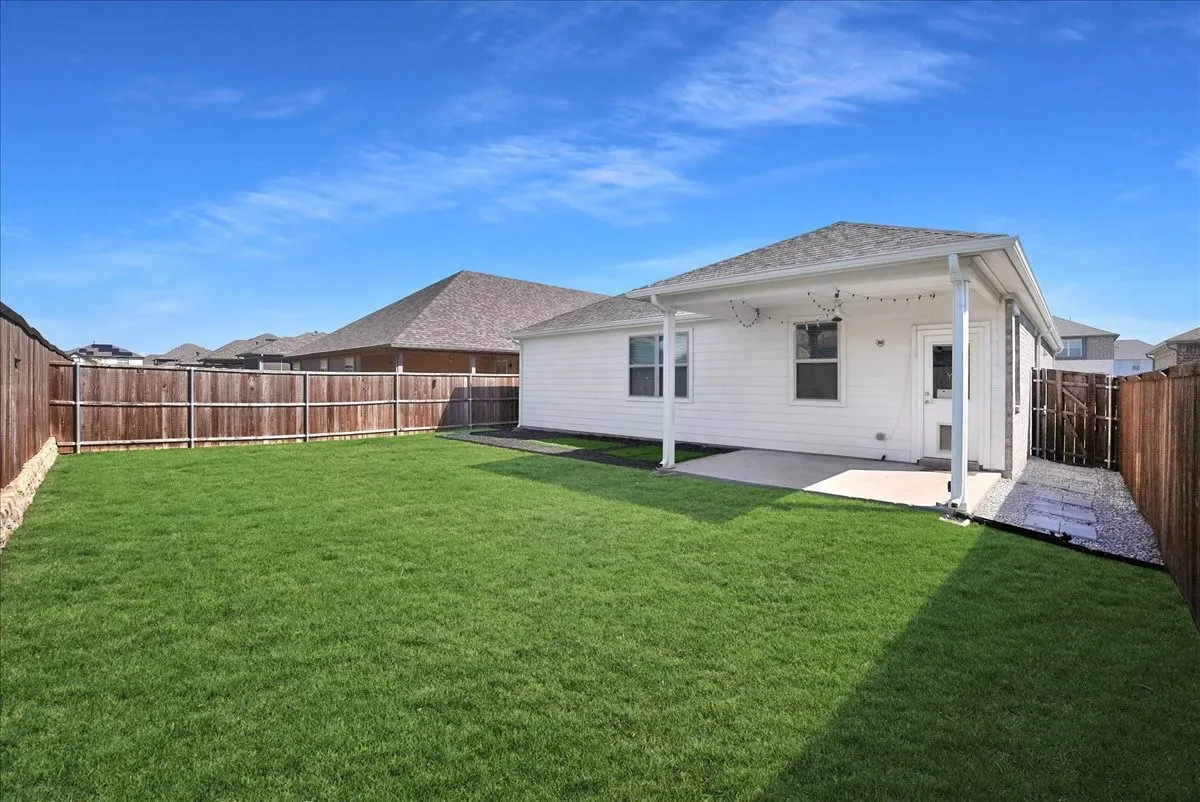 view of back yard