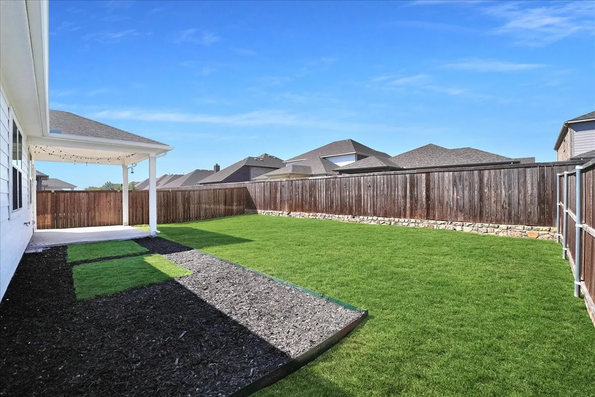 Back Yard View