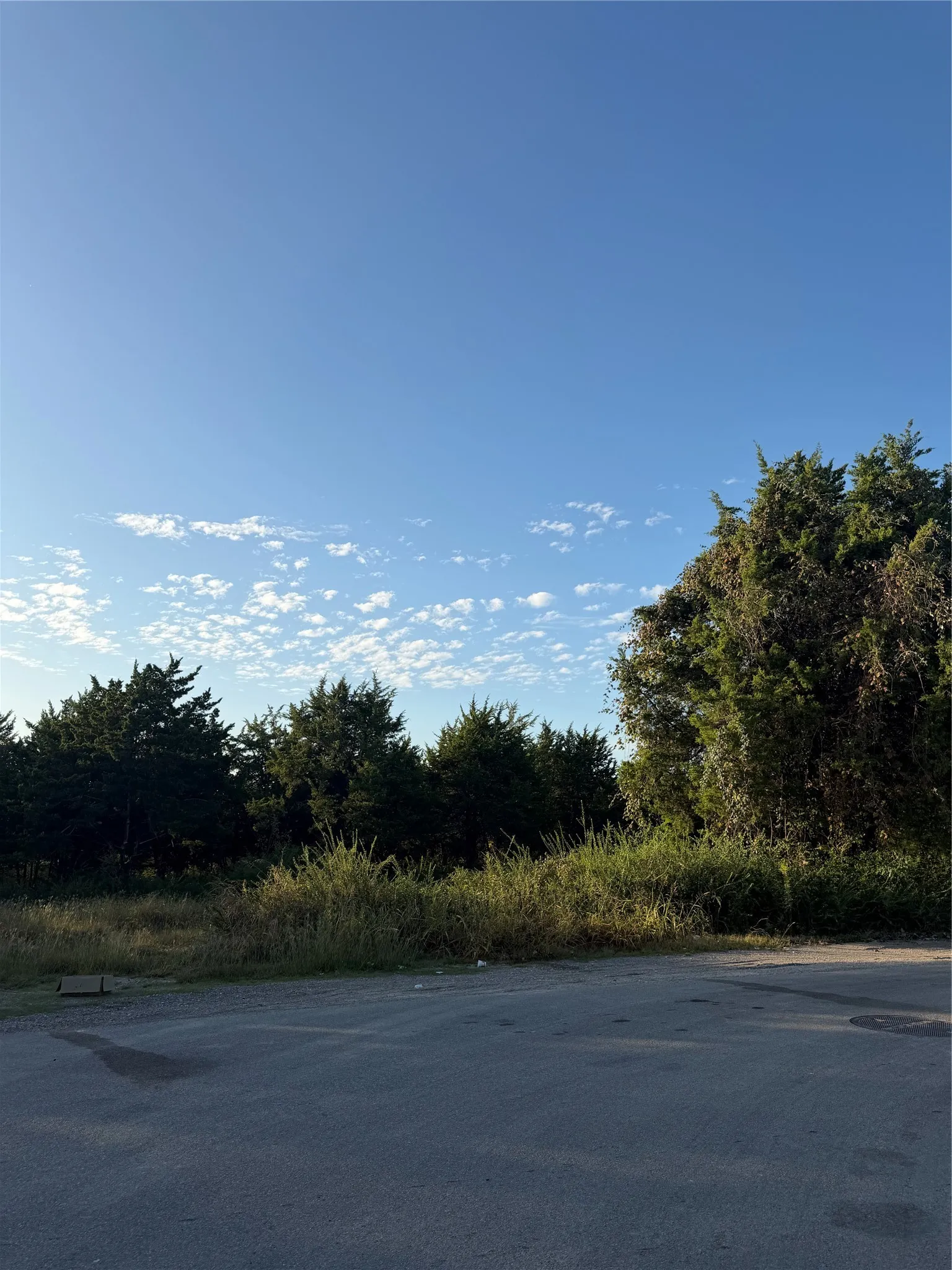 Unimproved Land For Sale in Dallas County , 4571 Cedardale Road, Dallas, Texas 75241, 0, 0, Garage spaces, 0 Sqft, built in 0, mls#21410027, Real Estate Agent in Dallas, Homes For Sale in Dallas county, Homes For Sale in Dallas, Realtor in Dallas Texas, Real Estate Brokerage Independent Realty Texas, Luminita Cordes Realtor