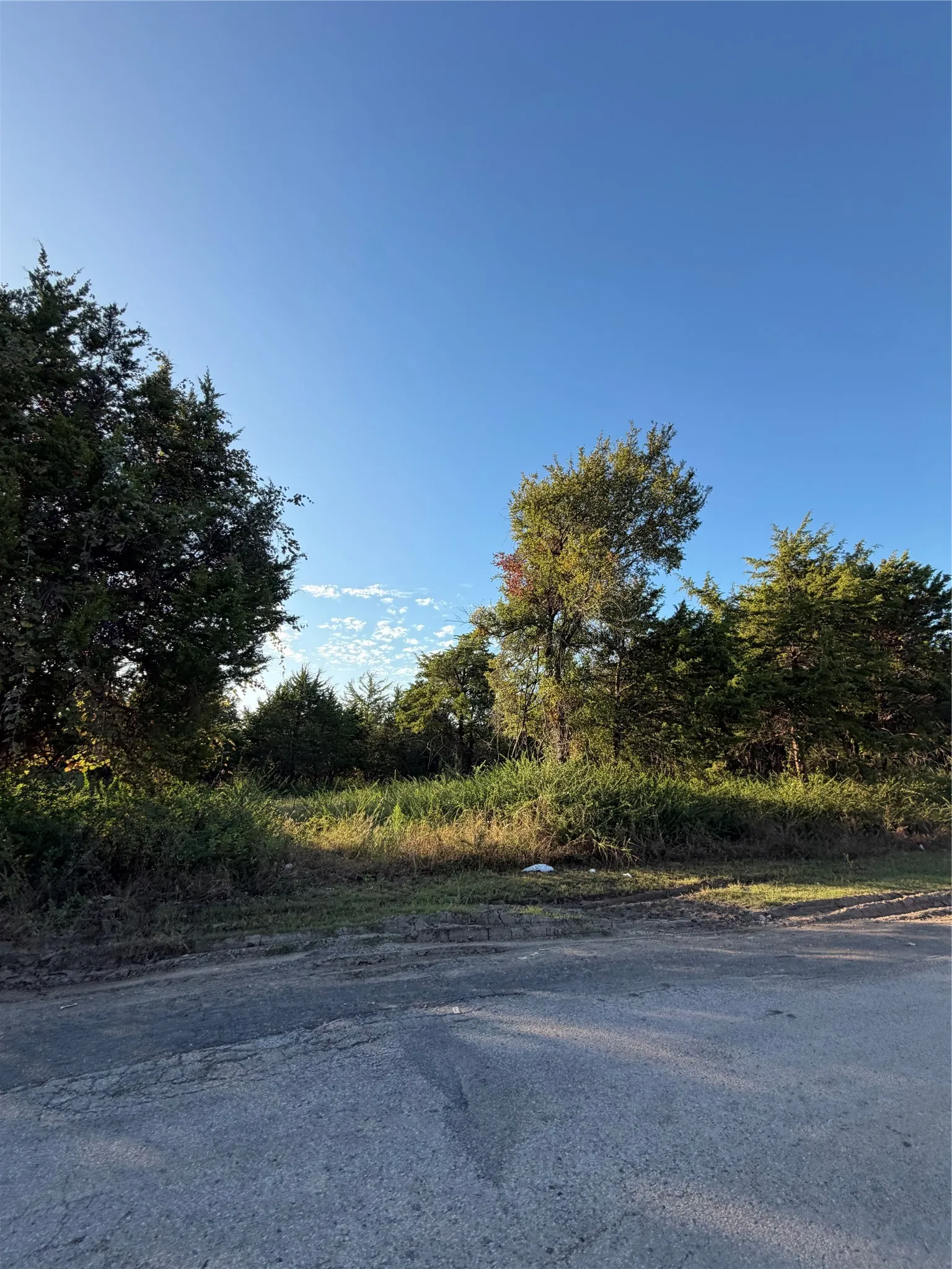 Unimproved Land For Sale in Dallas County , 4571 Cedardale Road, Dallas, Texas 75241, 0, 0, Garage spaces, 0 Sqft, built in 0, mls#21410027, Real Estate Agent in Dallas, Homes For Sale in Dallas county, Homes For Sale in Dallas, Realtor in Dallas Texas, Real Estate Brokerage Independent Realty Texas, Luminita Cordes Realtor