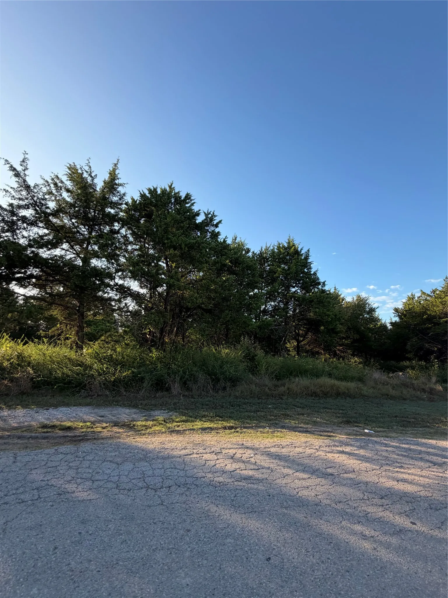 Unimproved Land For Sale