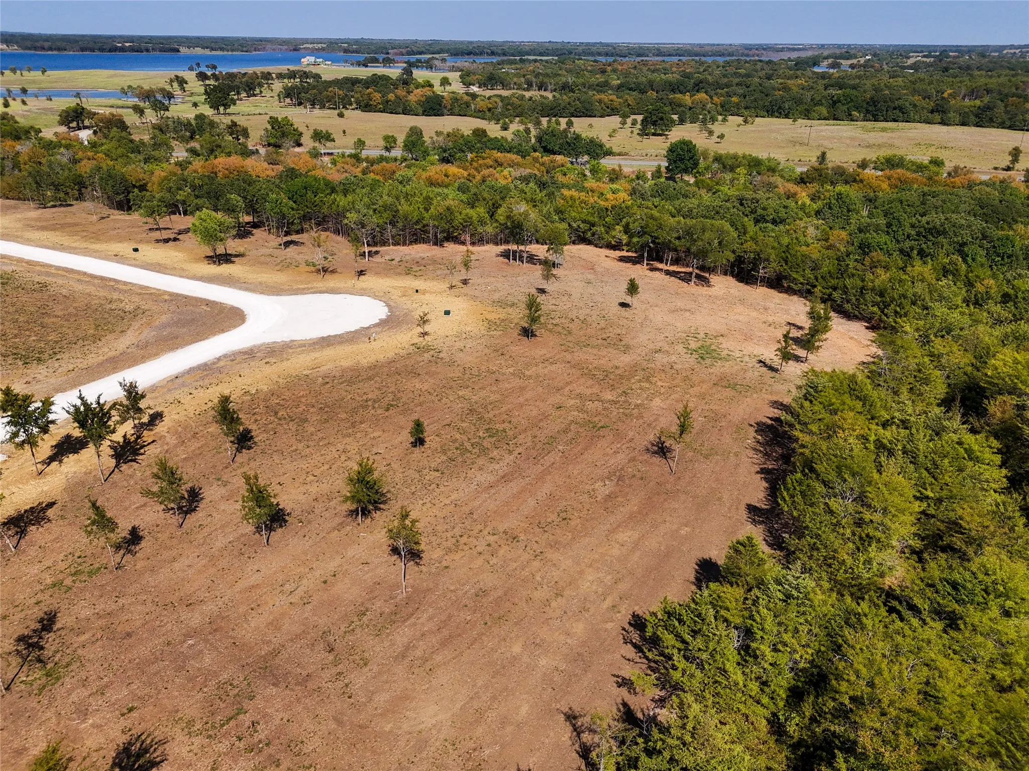 Unimproved Land For Sale in Fannin County , 422 Timberland Heights, Windom, Texas 75492, 0, 0, Garage spaces, 0 Sqft, built in 0, mls#21409494, Real Estate Agent in Windom, Homes For Sale in Fannin county, Homes For Sale in Windom, Realtor in Windom Texas, Real Estate Brokerage Independent Realty Texas, Luminita Cordes Realtor