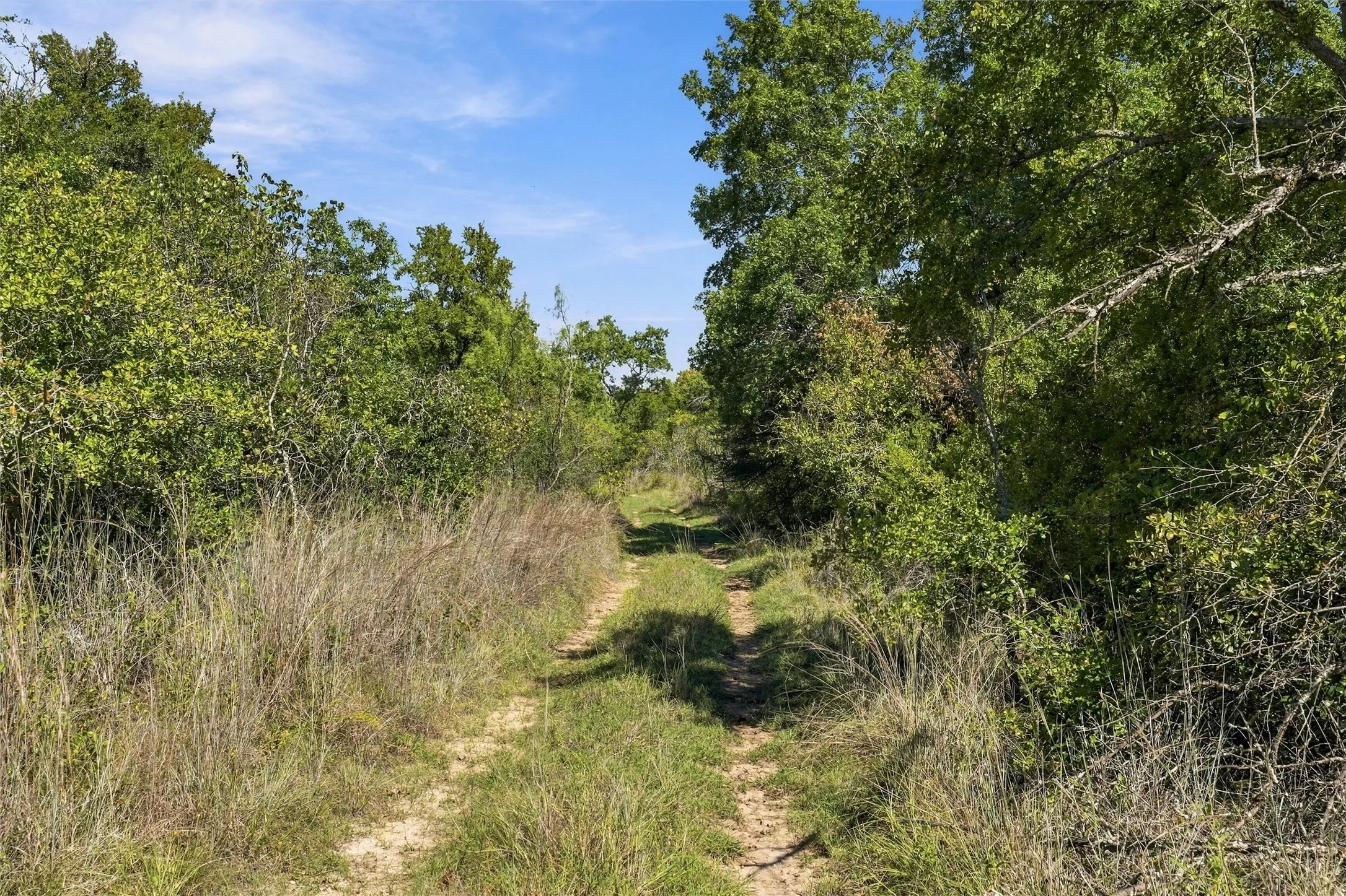Farm For Sale in Hamilton County , 473 County Road 210, Hamilton, Texas 76531, 4 Bedroom, 3 Bathroom, 1 Garage spaces, 2,376 Sqft, built in 2025, mls#21410126, Real Estate Agent in Hamilton, Homes For Sale in Hamilton county, Homes For Sale in Hamilton, Realtor in Hamilton Texas, Real Estate Brokerage Independent Realty Texas, Luminita Cordes Realtor