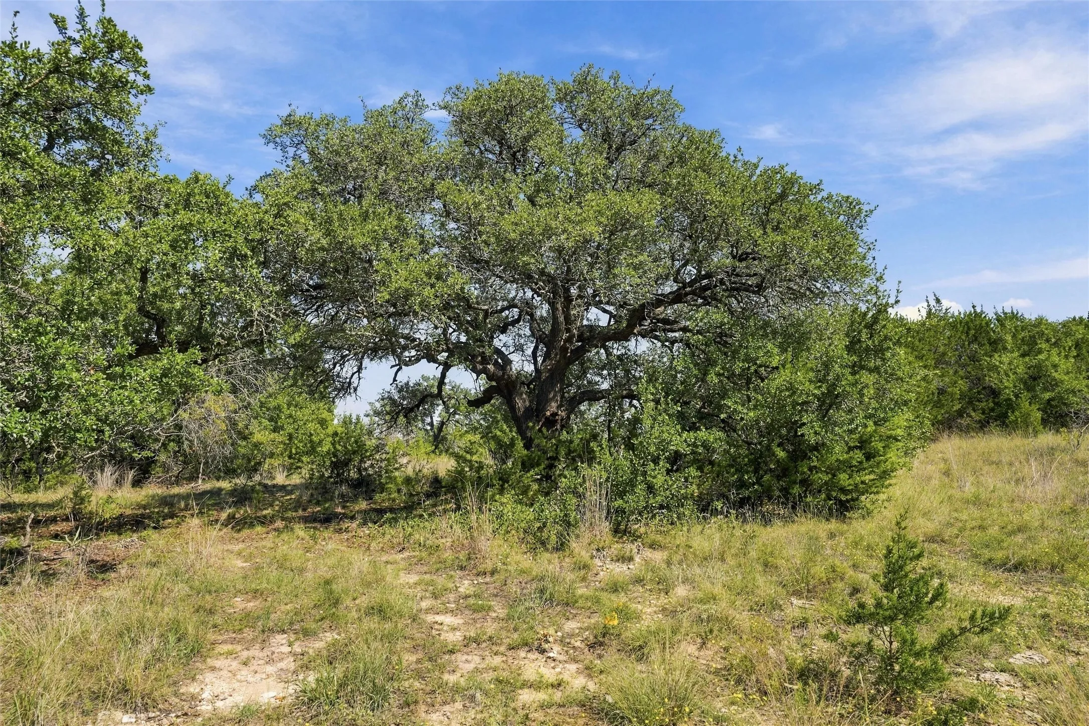 Farm For Sale in Hamilton County , 473 County Road 210, Hamilton, Texas 76531, 4 Bedroom, 3 Bathroom, 1 Garage spaces, 2,376 Sqft, built in 2025, mls#21410126, Real Estate Agent in Hamilton, Homes For Sale in Hamilton county, Homes For Sale in Hamilton, Realtor in Hamilton Texas, Real Estate Brokerage Independent Realty Texas, Luminita Cordes Realtor