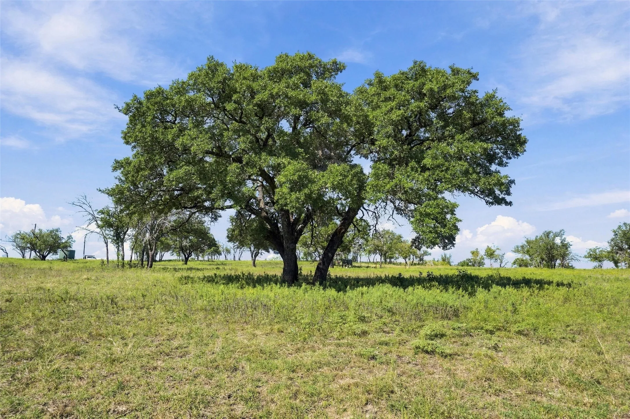 Farm For Sale in Hamilton County , 473 County Road 210, Hamilton, Texas 76531, 4 Bedroom, 3 Bathroom, 1 Garage spaces, 2,376 Sqft, built in 2025, mls#21410126, Real Estate Agent in Hamilton, Homes For Sale in Hamilton county, Homes For Sale in Hamilton, Realtor in Hamilton Texas, Real Estate Brokerage Independent Realty Texas, Luminita Cordes Realtor