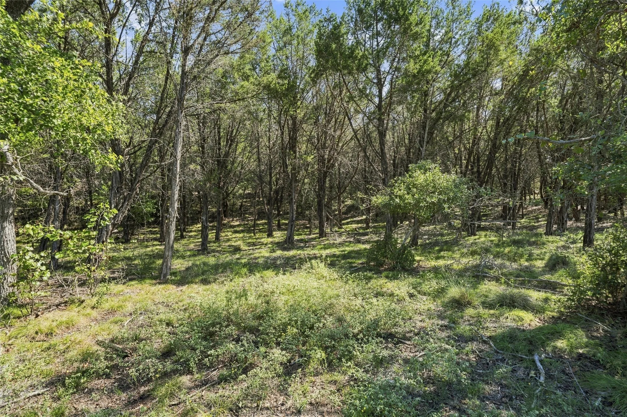 Farm For Sale in Hamilton County , 473 County Road 210, Hamilton, Texas 76531, 4 Bedroom, 3 Bathroom, 1 Garage spaces, 2,376 Sqft, built in 2025, mls#21410126, Real Estate Agent in Hamilton, Homes For Sale in Hamilton county, Homes For Sale in Hamilton, Realtor in Hamilton Texas, Real Estate Brokerage Independent Realty Texas, Luminita Cordes Realtor