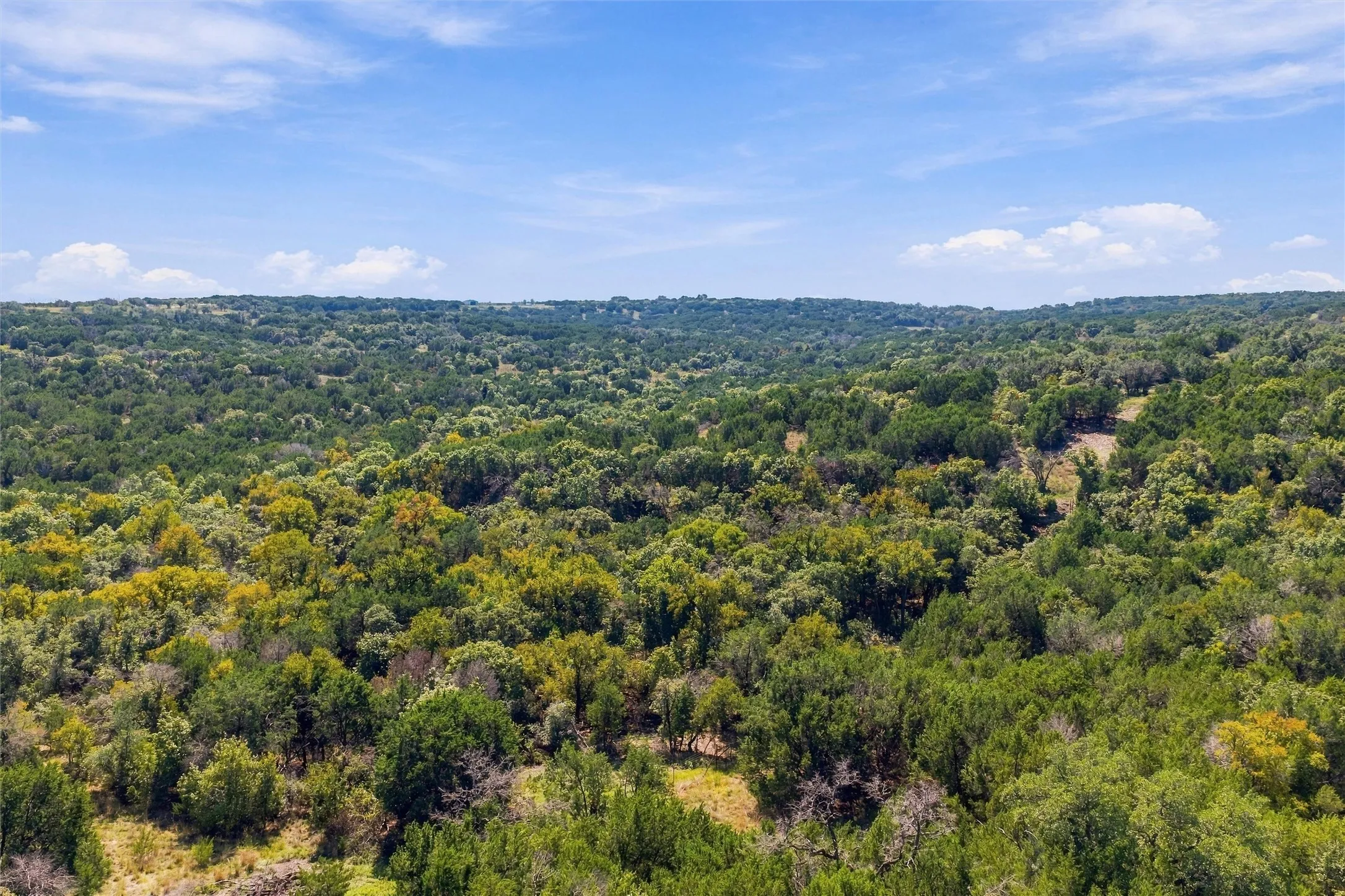 Farm For Sale in Hamilton County , 473 County Road 210, Hamilton, Texas 76531, 4 Bedroom, 3 Bathroom, 1 Garage spaces, 2,376 Sqft, built in 2025, mls#21410126, Real Estate Agent in Hamilton, Homes For Sale in Hamilton county, Homes For Sale in Hamilton, Realtor in Hamilton Texas, Real Estate Brokerage Independent Realty Texas, Luminita Cordes Realtor