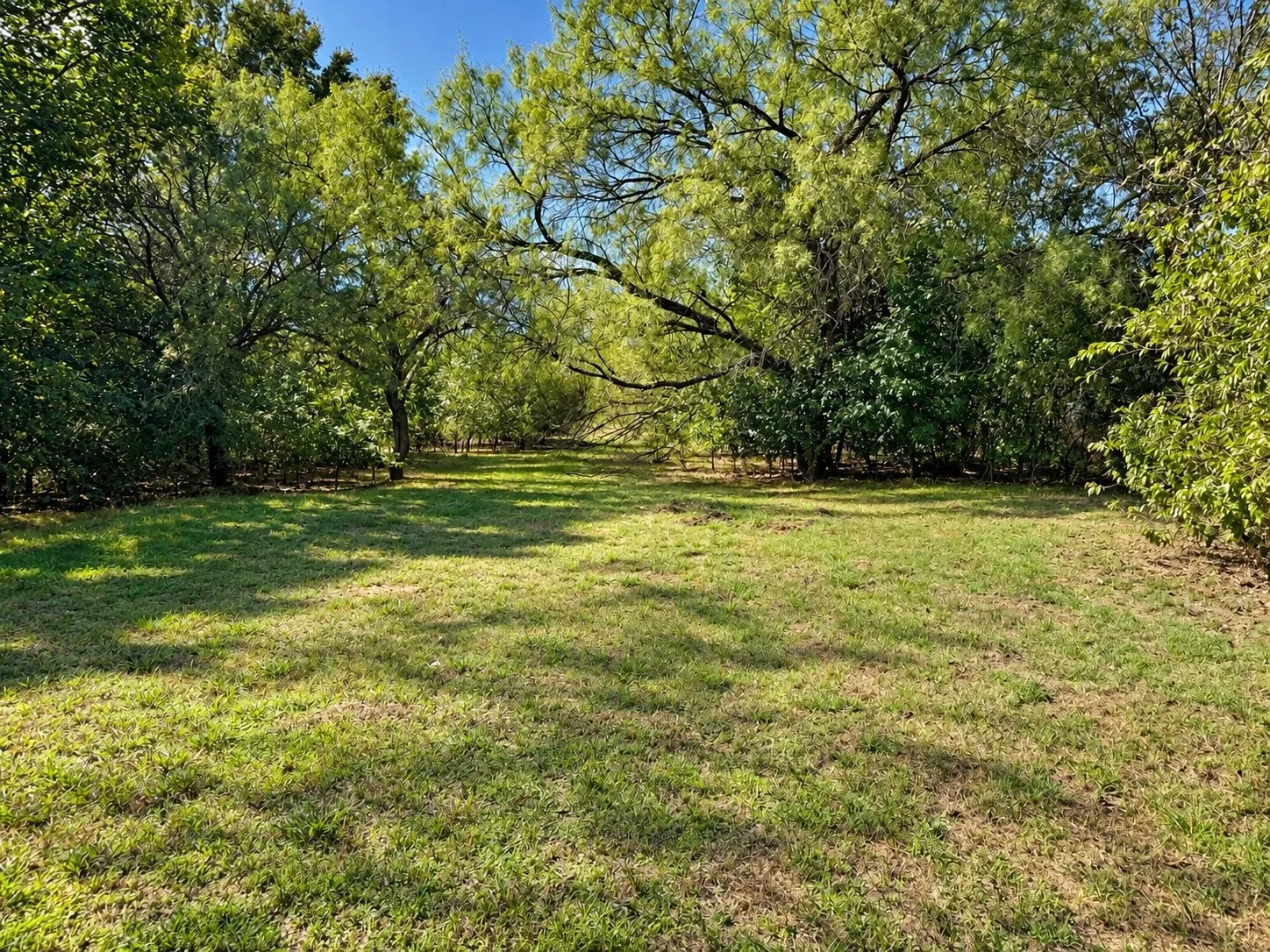 Single Family Residence For Sale in Denton County , 1105 Oak Drive, Flower Mound, Texas 75028, 2 Bedroom, 2 Bathroom, 2 Garage spaces, 1,796 Sqft, built in 1972, mls#21410106, Real Estate Agent in Flower Mound, Homes For Sale in Denton county, Homes For Sale in Flower Mound, Realtor in Flower Mound Texas, Real Estate Brokerage Independent Realty Texas, Luminita Cordes Realtor