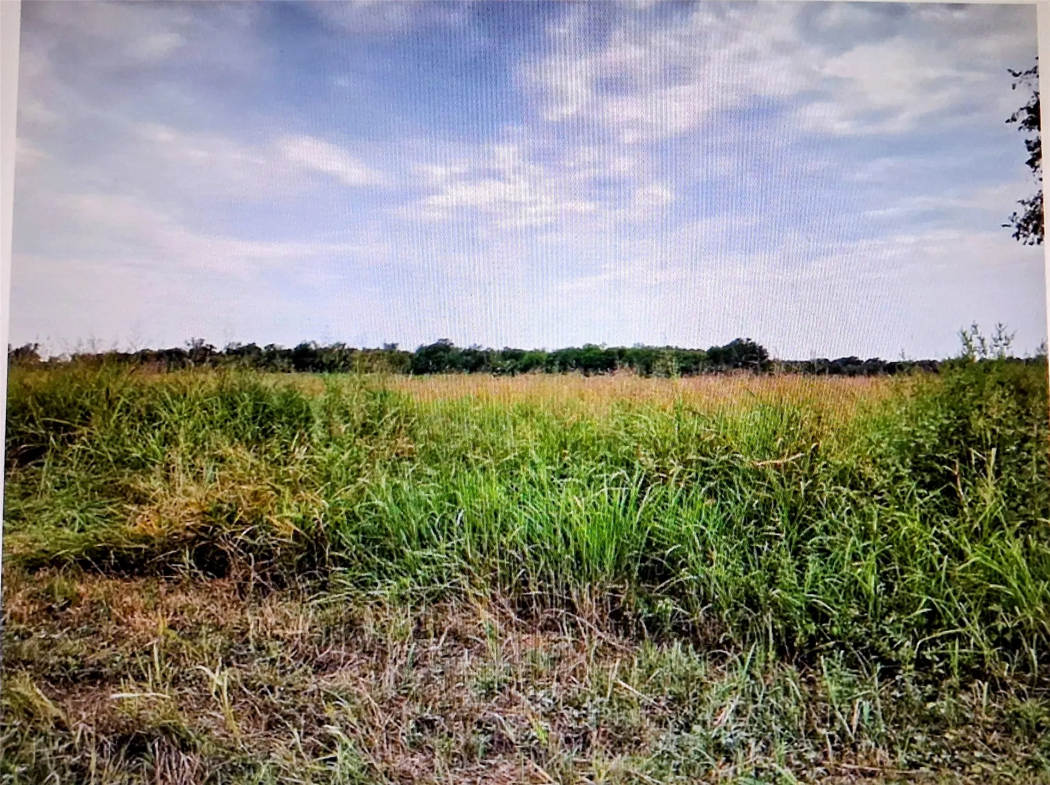 Unimproved Land For Sale
