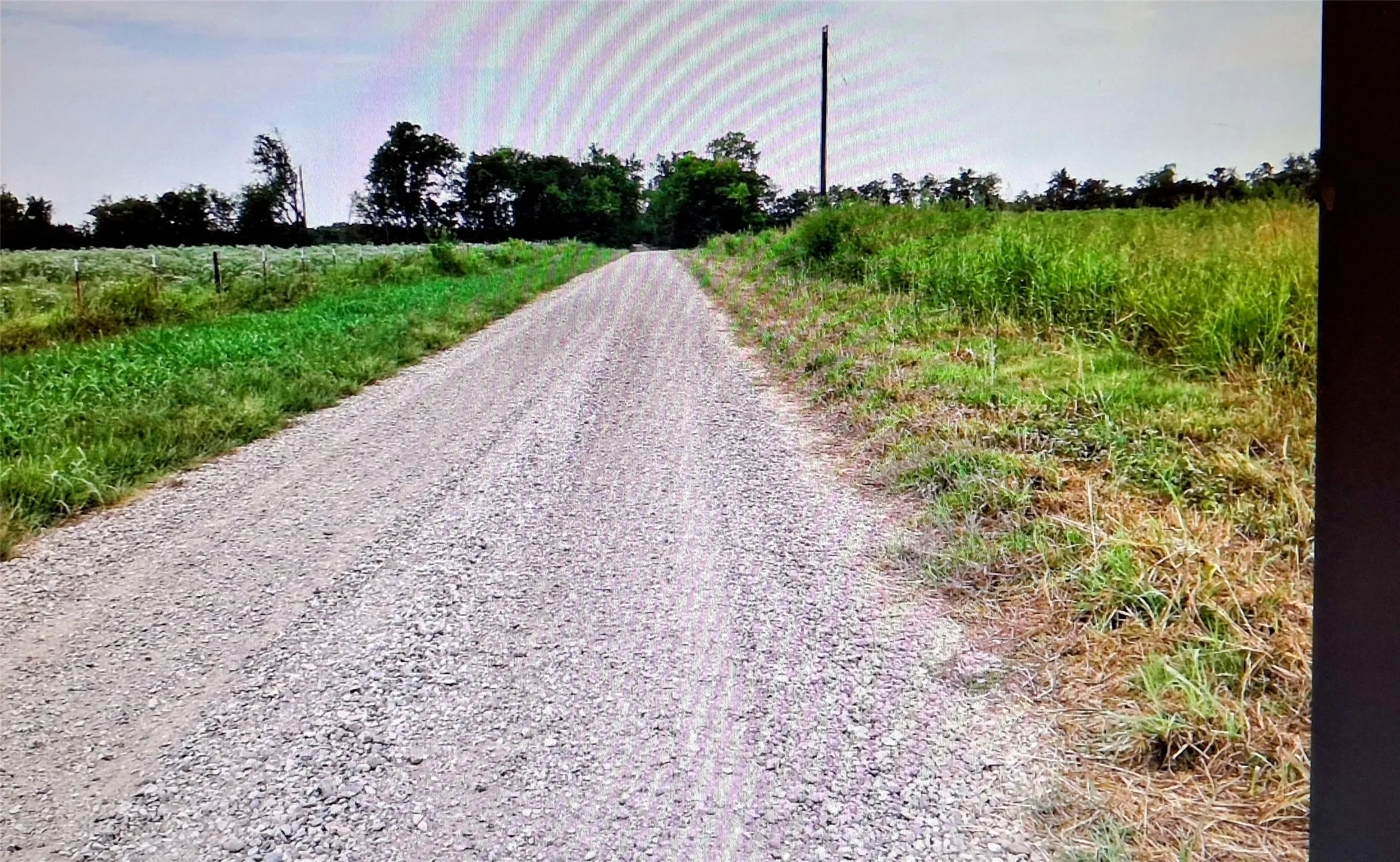 Unimproved Land For Sale in Fannin County , 3615 County Road 10 Acres, Honey Grove, Texas 75446, 0, 0, Garage spaces, 0 Sqft, built in 0, mls#21410134, Real Estate Agent in Honey Grove, Homes For Sale in Fannin county, Homes For Sale in Honey Grove, Realtor in Honey Grove Texas, Real Estate Brokerage Independent Realty Texas, Luminita Cordes Realtor