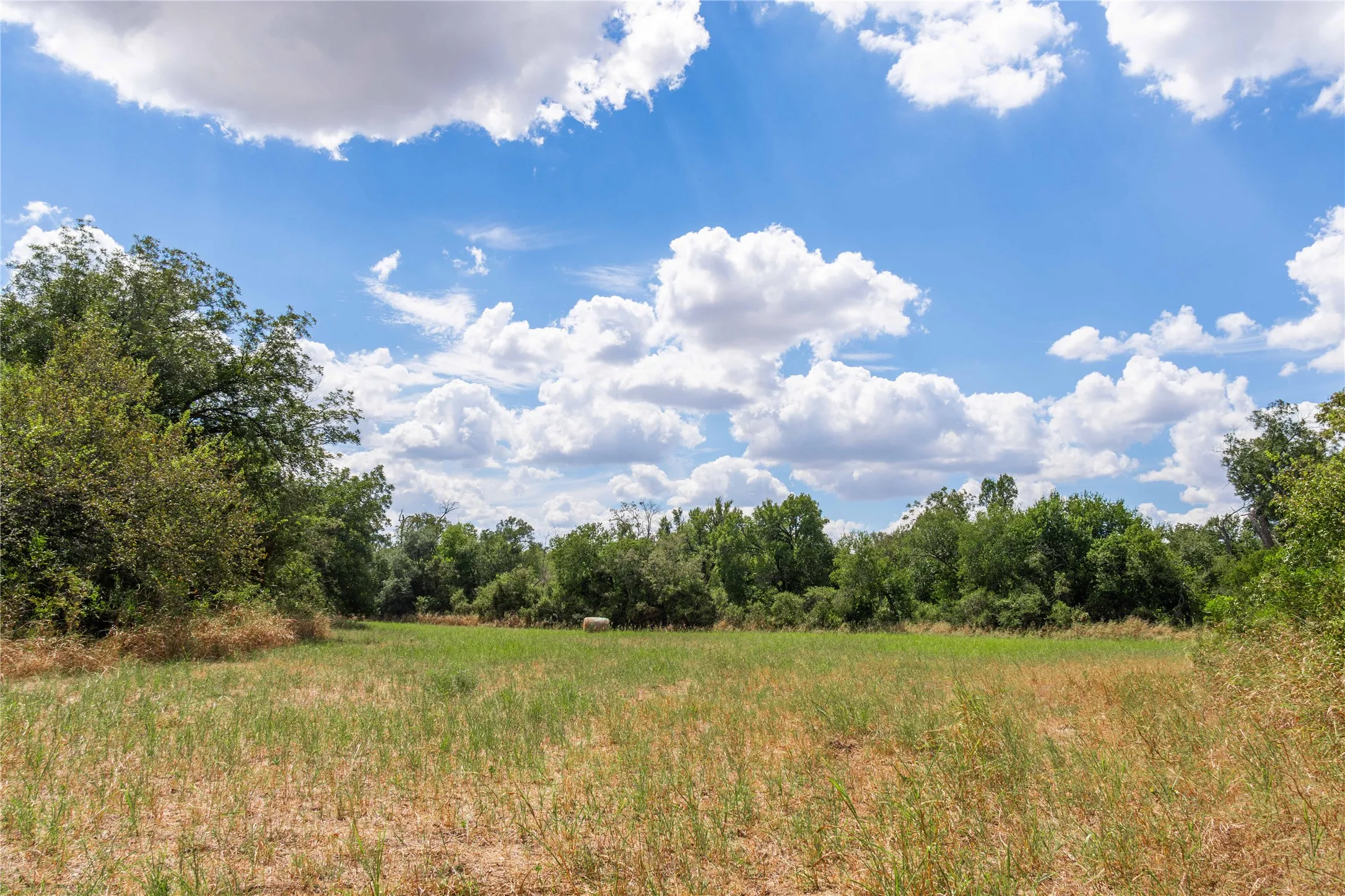 Improved Land For Sale in Brown County , 1400 Walnut Street, Brownwood, Texas 76801, 0, 0, Garage spaces, 0 Sqft, built in 0, mls#21410139, Real Estate Agent in Brownwood, Homes For Sale in Brown county, Homes For Sale in Brownwood, Realtor in Brownwood Texas, Real Estate Brokerage Independent Realty Texas, Luminita Cordes Realtor
