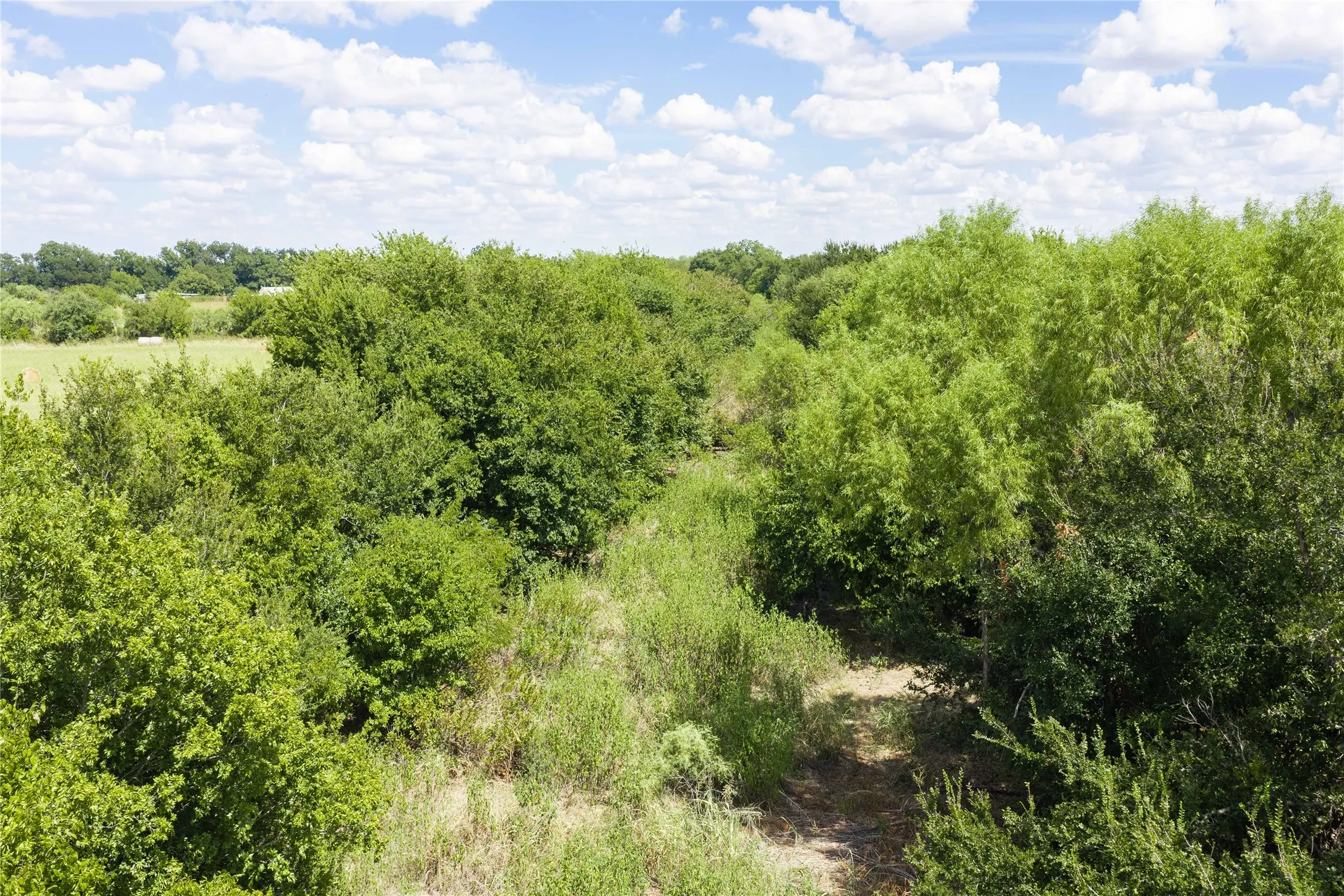 Improved Land For Sale in Brown County , 1400 Walnut Street, Brownwood, Texas 76801, 0, 0, Garage spaces, 0 Sqft, built in 0, mls#21410139, Real Estate Agent in Brownwood, Homes For Sale in Brown county, Homes For Sale in Brownwood, Realtor in Brownwood Texas, Real Estate Brokerage Independent Realty Texas, Luminita Cordes Realtor