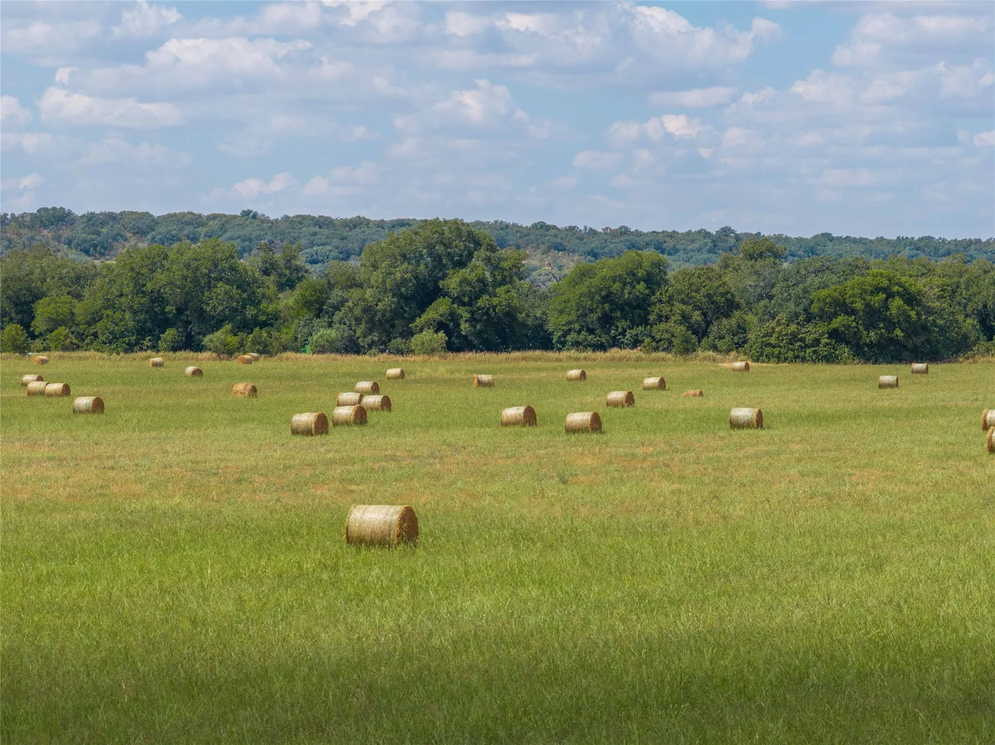 Improved Land For Sale in Brown County , 1400 Walnut Street, Brownwood, Texas 76801, 0, 0, Garage spaces, 0 Sqft, built in 0, mls#21410139, Real Estate Agent in Brownwood, Homes For Sale in Brown county, Homes For Sale in Brownwood, Realtor in Brownwood Texas, Real Estate Brokerage Independent Realty Texas, Luminita Cordes Realtor