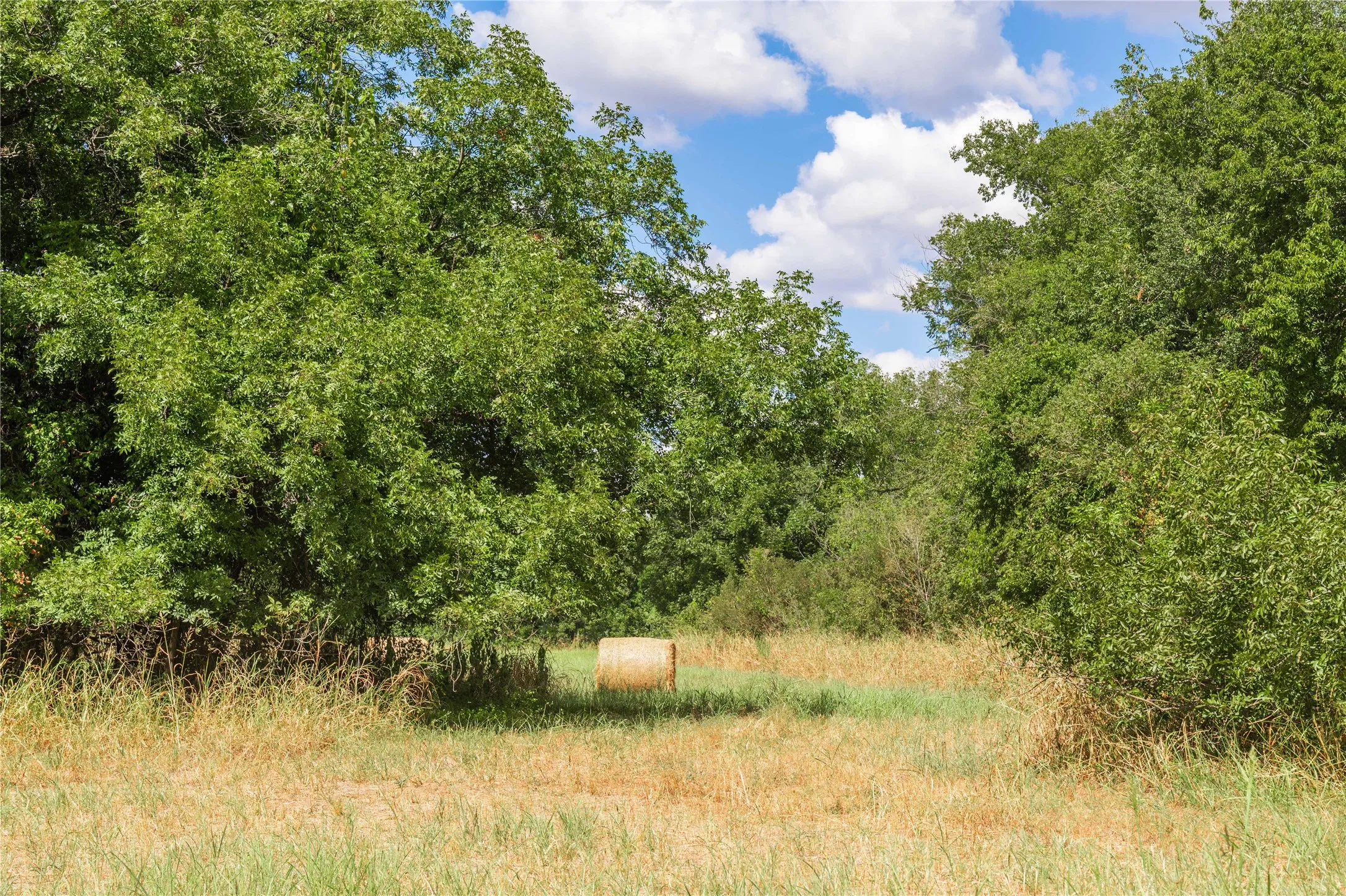 Improved Land For Sale in Brown County , 1400 Walnut Street, Brownwood, Texas 76801, 0, 0, Garage spaces, 0 Sqft, built in 0, mls#21410139, Real Estate Agent in Brownwood, Homes For Sale in Brown county, Homes For Sale in Brownwood, Realtor in Brownwood Texas, Real Estate Brokerage Independent Realty Texas, Luminita Cordes Realtor
