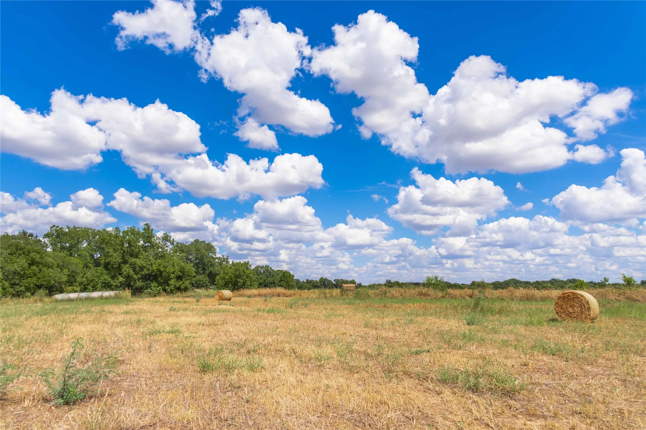 Improved Land For Sale in Brown County , 1400 Walnut Street, Brownwood, Texas 76801, 0, 0, Garage spaces, 0 Sqft, built in 0, mls#21410139, Real Estate Agent in Brownwood, Homes For Sale in Brown county, Homes For Sale in Brownwood, Realtor in Brownwood Texas, Real Estate Brokerage Independent Realty Texas, Luminita Cordes Realtor