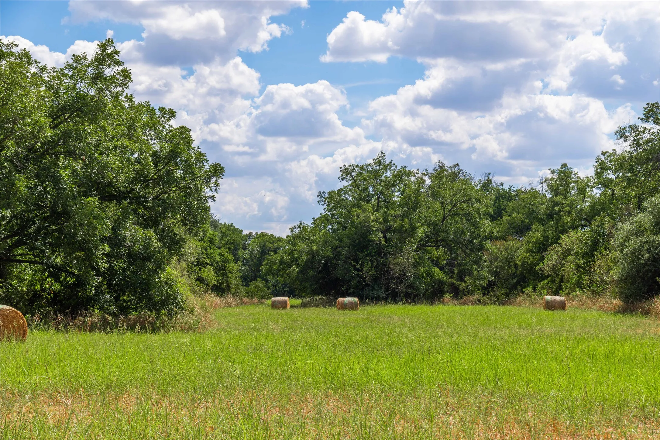 Improved Land For Sale in Brown County , 1400 Walnut Street, Brownwood, Texas 76801, 0, 0, Garage spaces, 0 Sqft, built in 0, mls#21410139, Real Estate Agent in Brownwood, Homes For Sale in Brown county, Homes For Sale in Brownwood, Realtor in Brownwood Texas, Real Estate Brokerage Independent Realty Texas, Luminita Cordes Realtor