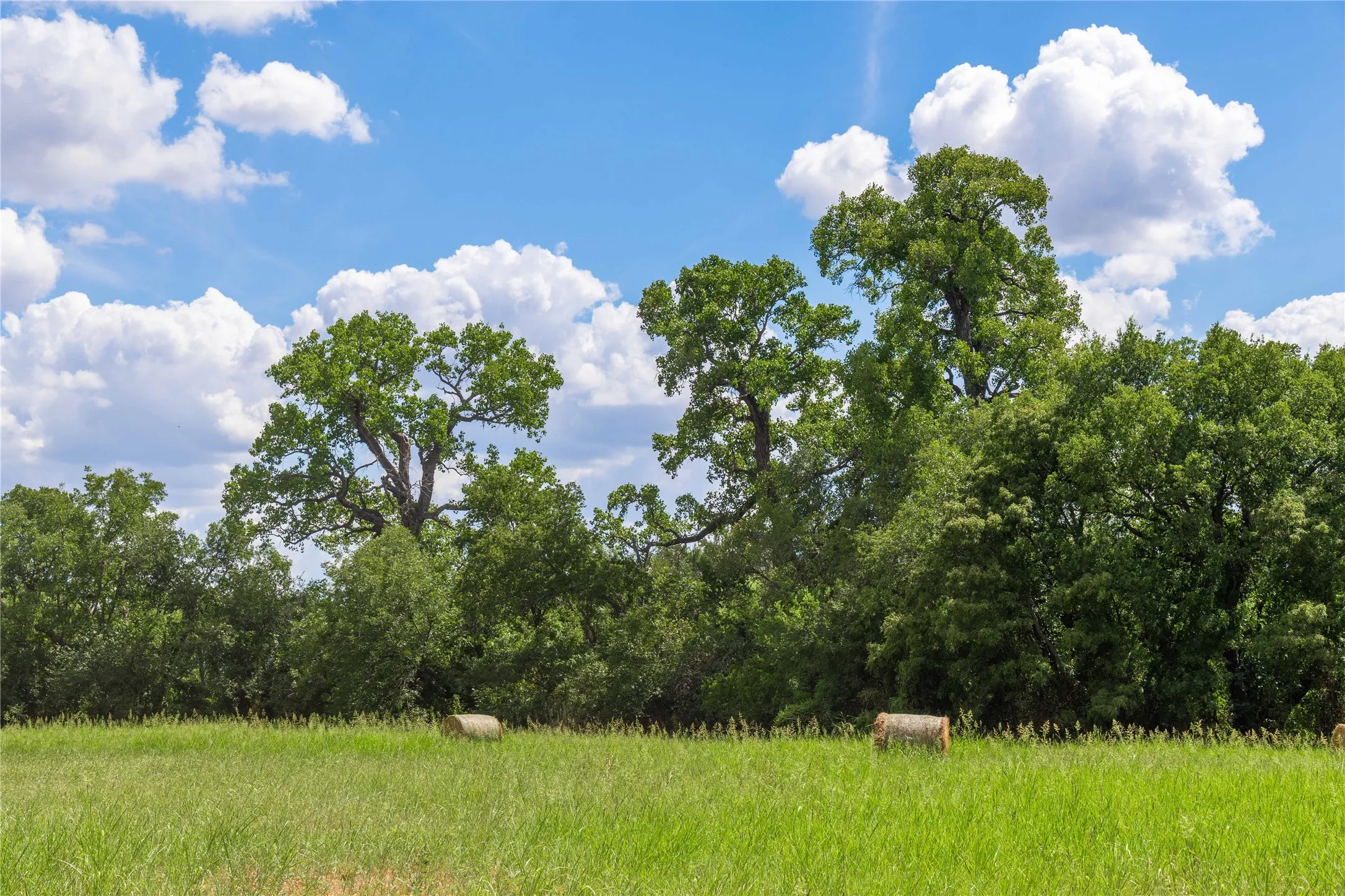 Improved Land For Sale in Brown County , 1400 Walnut Street, Brownwood, Texas 76801, 0, 0, Garage spaces, 0 Sqft, built in 0, mls#21410139, Real Estate Agent in Brownwood, Homes For Sale in Brown county, Homes For Sale in Brownwood, Realtor in Brownwood Texas, Real Estate Brokerage Independent Realty Texas, Luminita Cordes Realtor