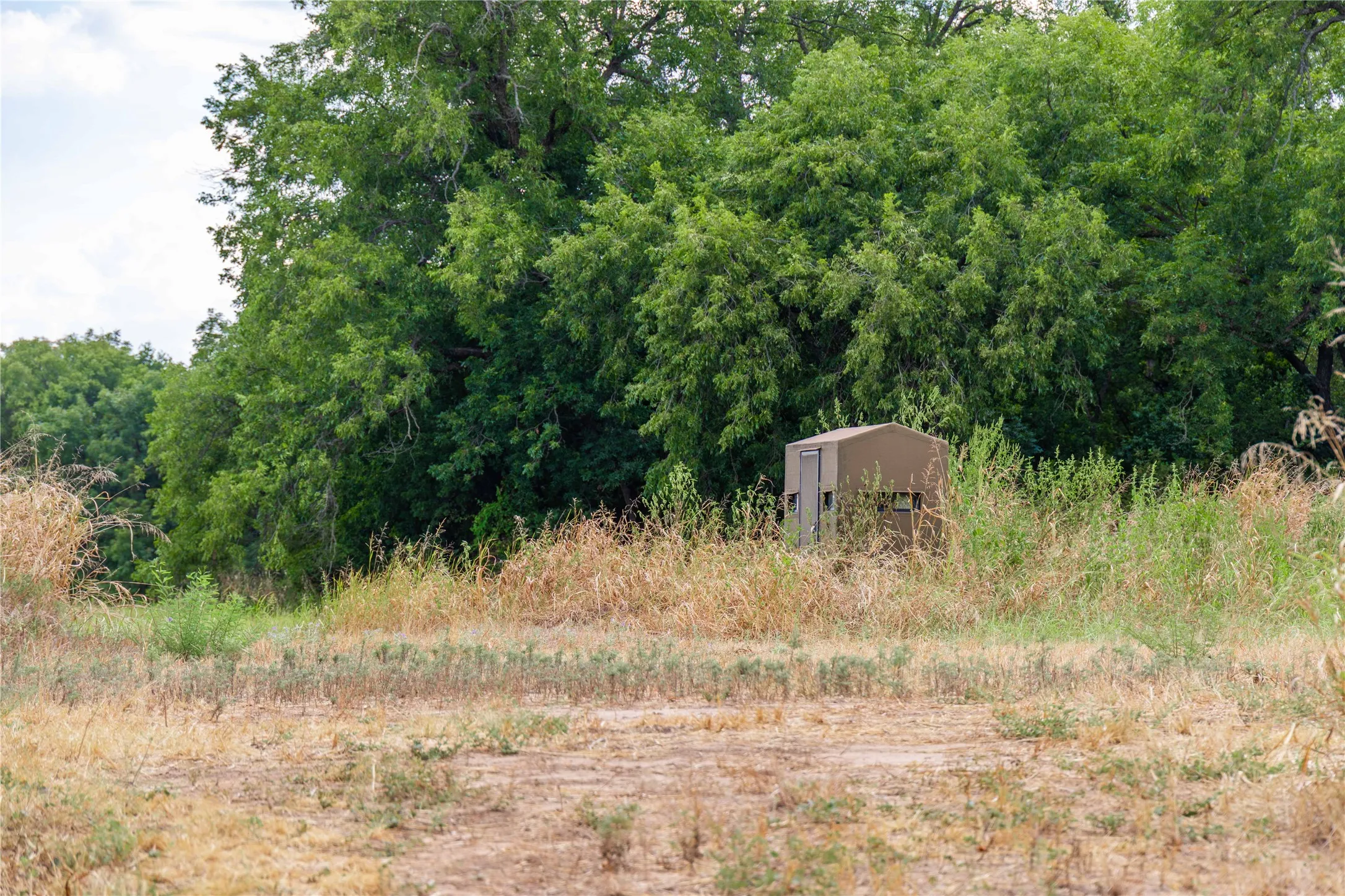 Improved Land For Sale in Brown County , 1400 Walnut Street, Brownwood, Texas 76801, 0, 0, Garage spaces, 0 Sqft, built in 0, mls#21410139, Real Estate Agent in Brownwood, Homes For Sale in Brown county, Homes For Sale in Brownwood, Realtor in Brownwood Texas, Real Estate Brokerage Independent Realty Texas, Luminita Cordes Realtor