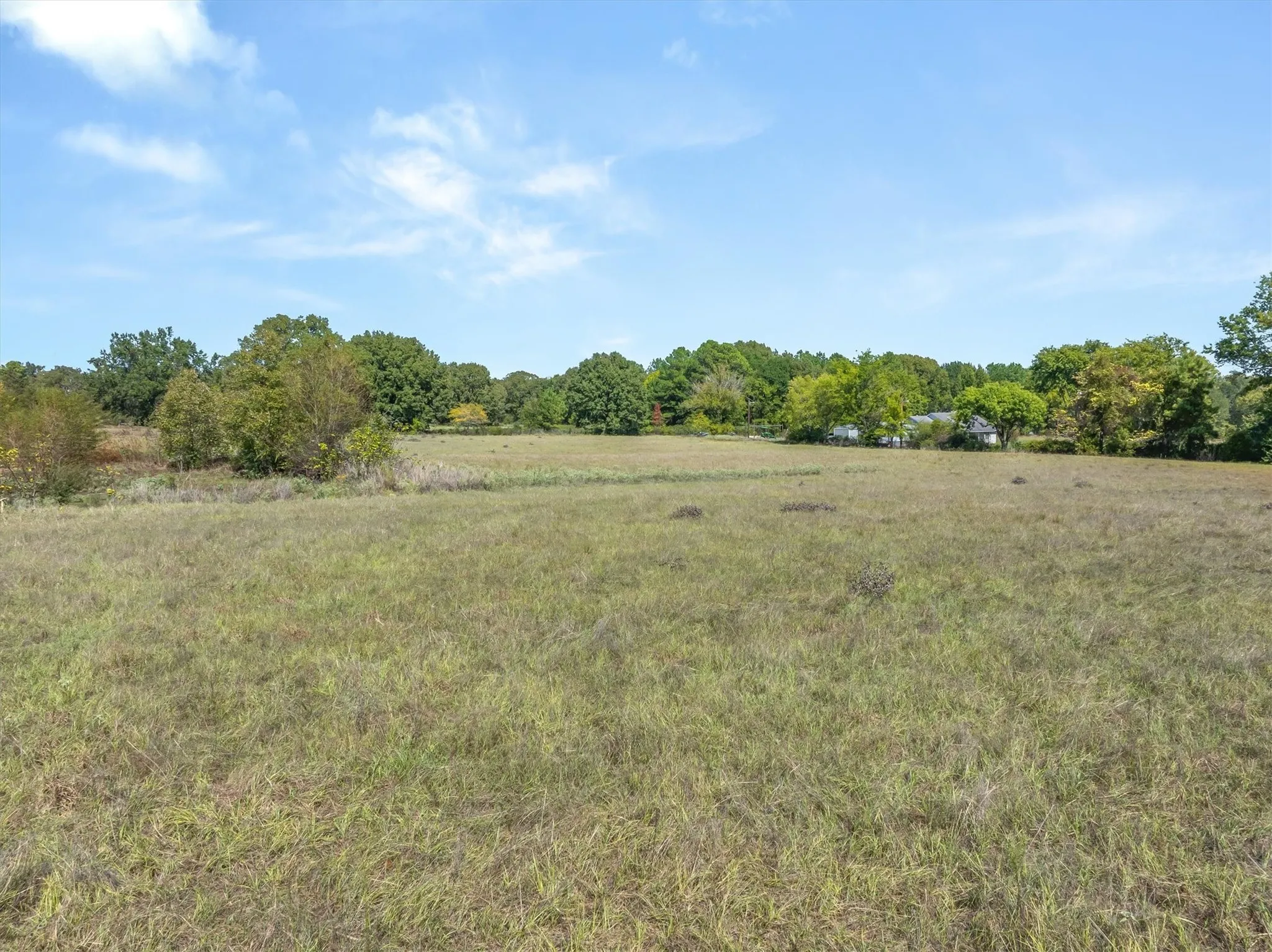 Unimproved Land For Sale in Van Zandt County , 000 VZ County Road 1712, Grand Saline, Texas 75140, 0, 0, Garage spaces, 0 Sqft, built in 0, mls#21408577, Real Estate Agent in Grand Saline, Homes For Sale in Van Zandt county, Homes For Sale in Grand Saline, Realtor in Grand Saline Texas, Real Estate Brokerage Independent Realty Texas, Luminita Cordes Realtor