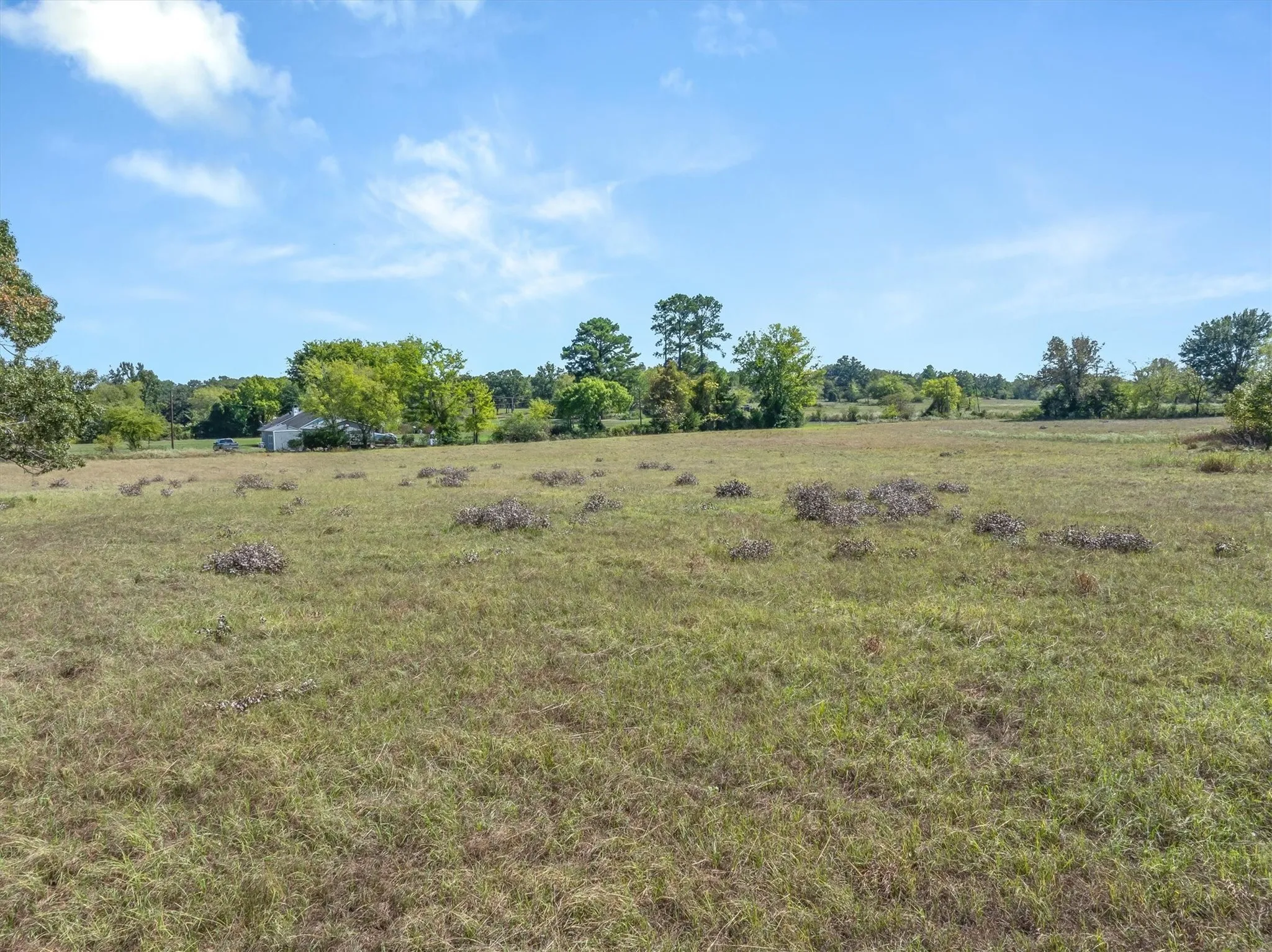 Unimproved Land For Sale in Van Zandt County , 000 VZ County Road 1712, Grand Saline, Texas 75140, 0, 0, Garage spaces, 0 Sqft, built in 0, mls#21408577, Real Estate Agent in Grand Saline, Homes For Sale in Van Zandt county, Homes For Sale in Grand Saline, Realtor in Grand Saline Texas, Real Estate Brokerage Independent Realty Texas, Luminita Cordes Realtor
