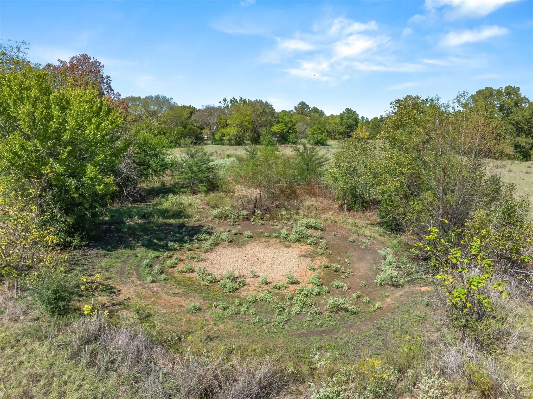 Pond is dry due to summer draught.