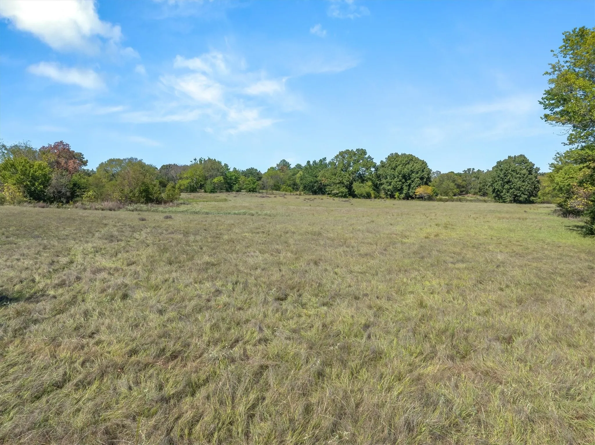 Unimproved Land For Sale in Van Zandt County , 000 VZ County Road 1712, Grand Saline, Texas 75140, 0, 0, Garage spaces, 0 Sqft, built in 0, mls#21408577, Real Estate Agent in Grand Saline, Homes For Sale in Van Zandt county, Homes For Sale in Grand Saline, Realtor in Grand Saline Texas, Real Estate Brokerage Independent Realty Texas, Luminita Cordes Realtor