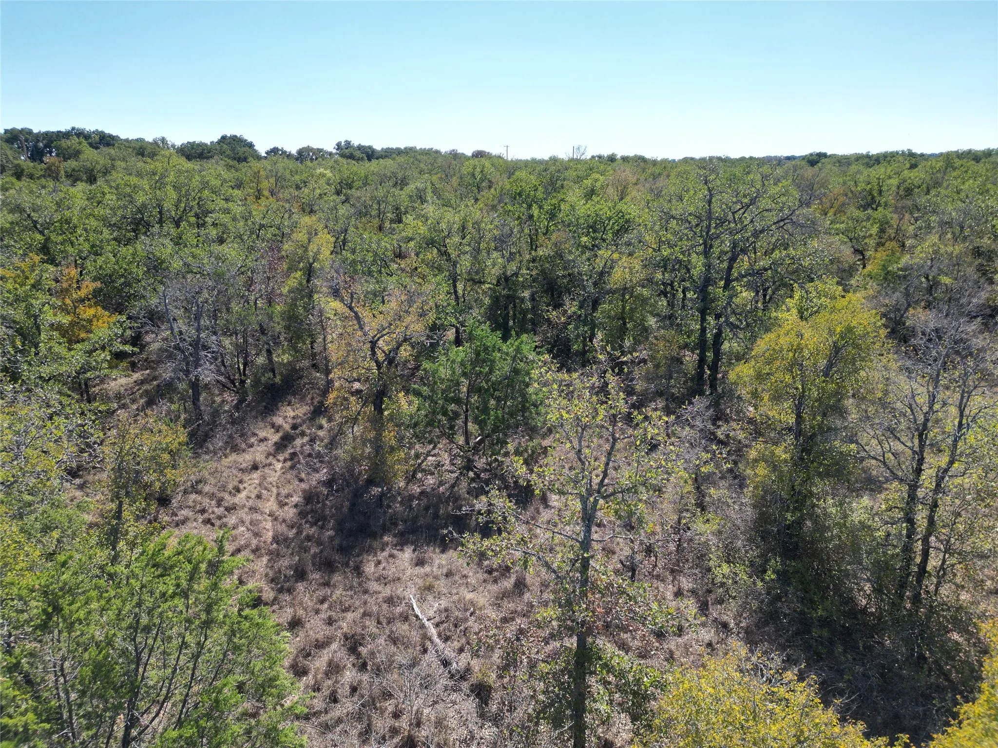 Improved Land For Sale in Eastland County , 3594 Fm-8, Gorman, Texas 76454, 0, 0, Garage spaces, 0 Sqft, built in 0, mls#21409955, Real Estate Agent in Gorman, Homes For Sale in Eastland county, Homes For Sale in Gorman, Realtor in Gorman Texas, Real Estate Brokerage Independent Realty Texas, Luminita Cordes Realtor