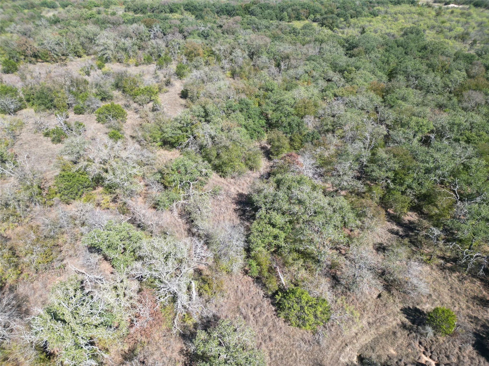 Improved Land For Sale in Eastland County , 3594 Fm-8, Gorman, Texas 76454, 0, 0, Garage spaces, 0 Sqft, built in 0, mls#21409955, Real Estate Agent in Gorman, Homes For Sale in Eastland county, Homes For Sale in Gorman, Realtor in Gorman Texas, Real Estate Brokerage Independent Realty Texas, Luminita Cordes Realtor