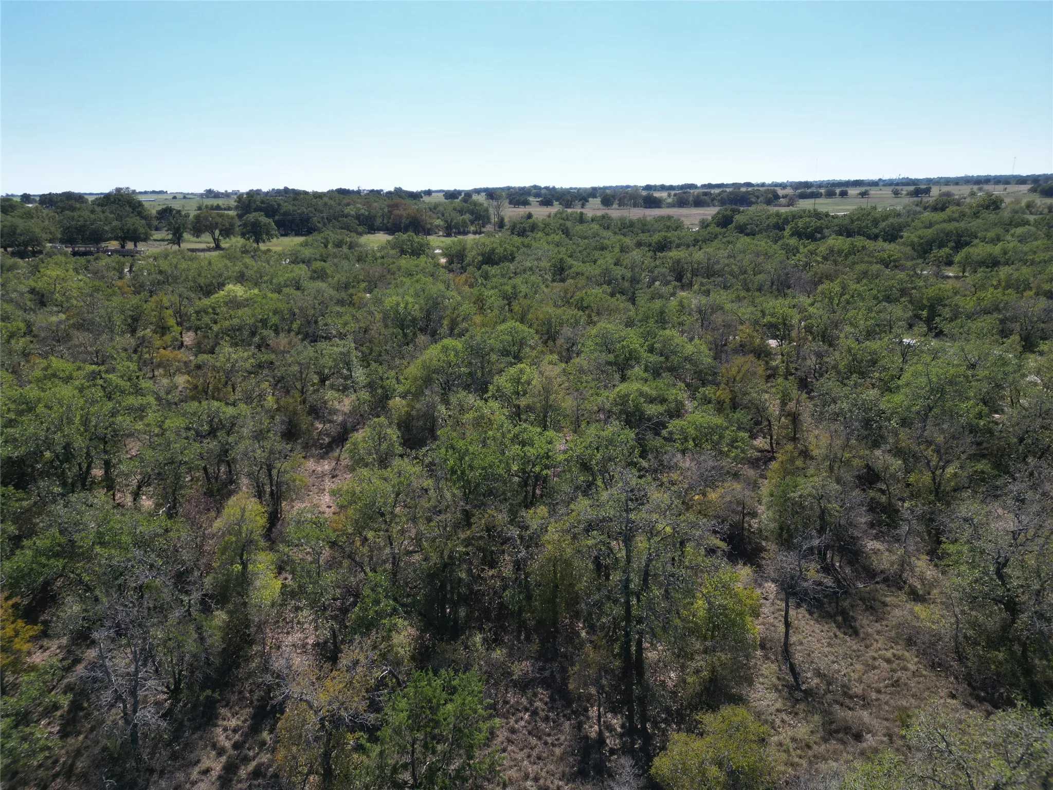 Improved Land For Sale in Eastland County , 3594 Fm-8, Gorman, Texas 76454, 0, 0, Garage spaces, 0 Sqft, built in 0, mls#21409955, Real Estate Agent in Gorman, Homes For Sale in Eastland county, Homes For Sale in Gorman, Realtor in Gorman Texas, Real Estate Brokerage Independent Realty Texas, Luminita Cordes Realtor