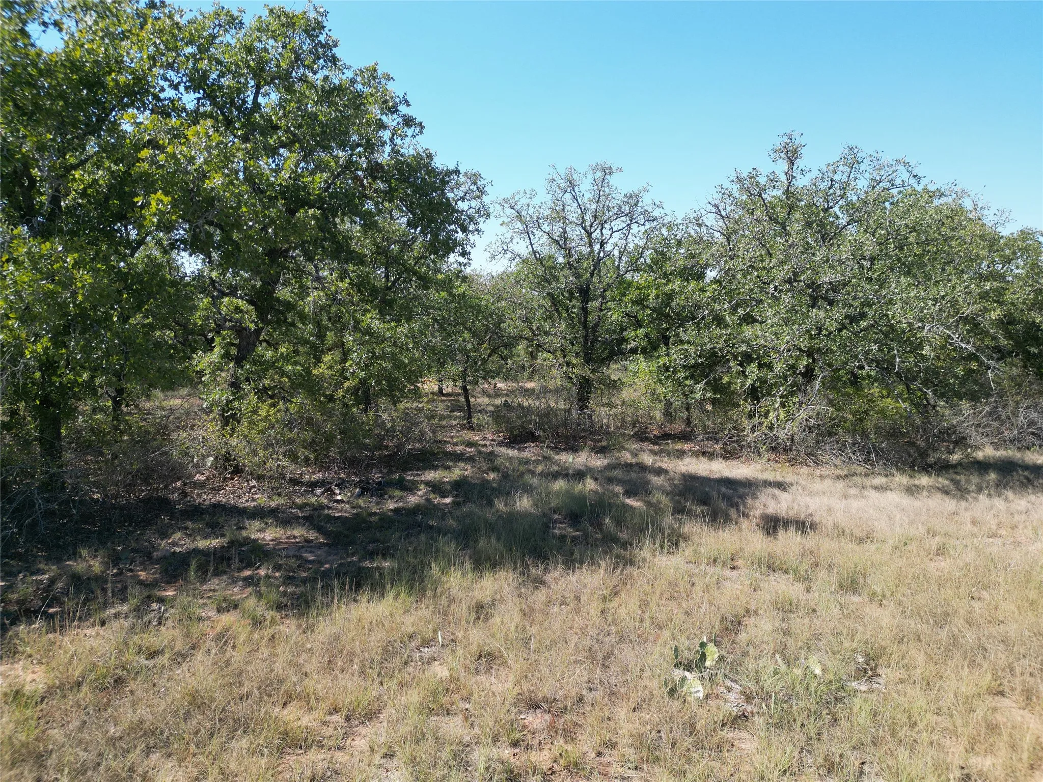 Improved Land For Sale in Eastland County , 3594 Fm-8, Gorman, Texas 76454, 0, 0, Garage spaces, 0 Sqft, built in 0, mls#21409955, Real Estate Agent in Gorman, Homes For Sale in Eastland county, Homes For Sale in Gorman, Realtor in Gorman Texas, Real Estate Brokerage Independent Realty Texas, Luminita Cordes Realtor