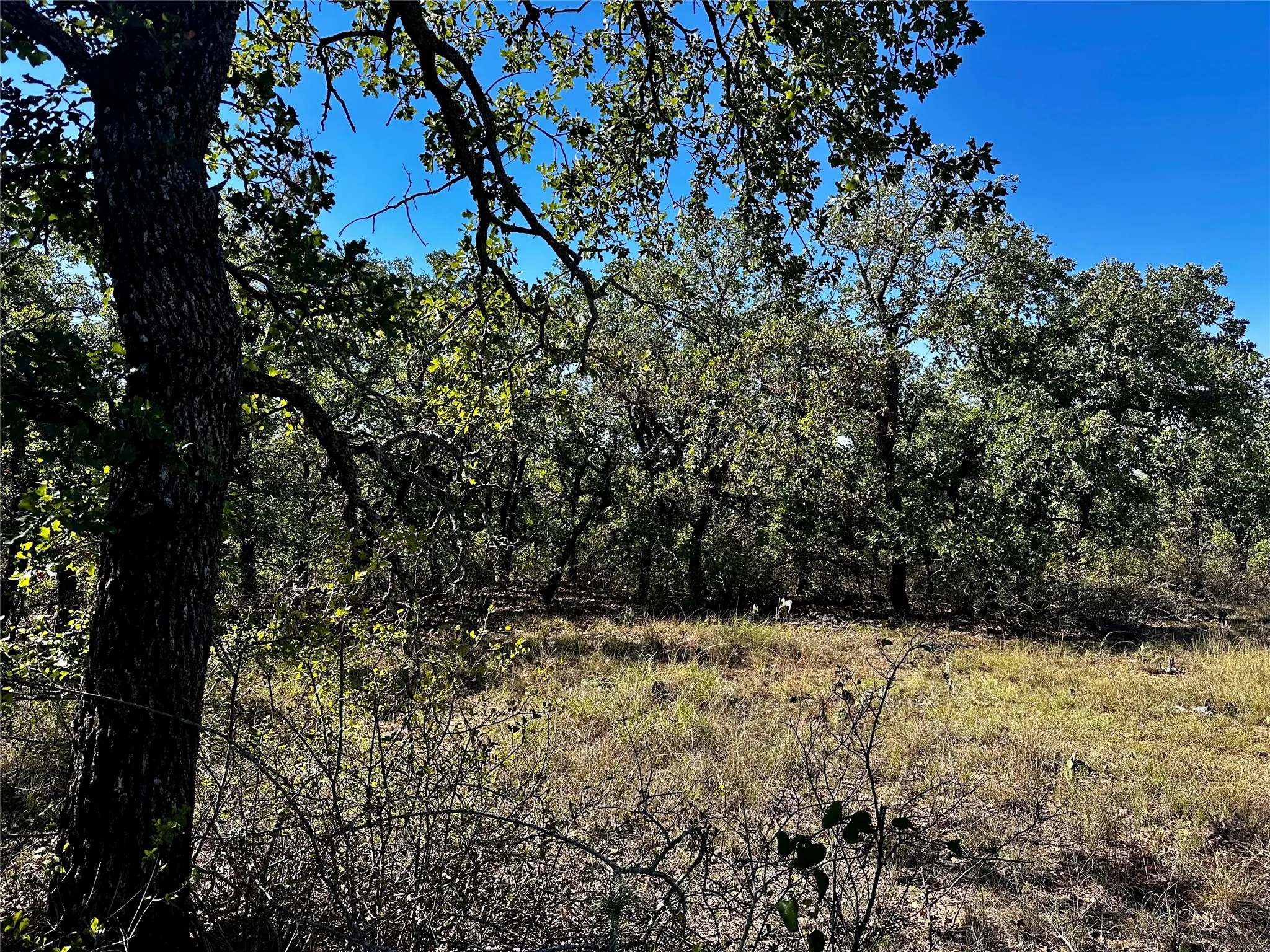 Improved Land For Sale in Eastland County , 3594 Fm-8, Gorman, Texas 76454, 0, 0, Garage spaces, 0 Sqft, built in 0, mls#21409955, Real Estate Agent in Gorman, Homes For Sale in Eastland county, Homes For Sale in Gorman, Realtor in Gorman Texas, Real Estate Brokerage Independent Realty Texas, Luminita Cordes Realtor