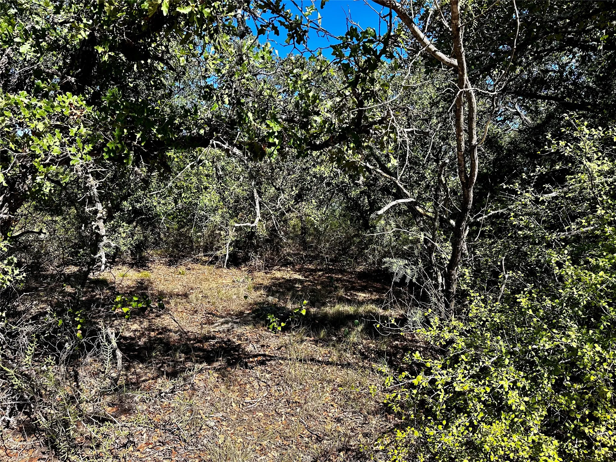 Improved Land For Sale in Eastland County , 3594 Fm-8, Gorman, Texas 76454, 0, 0, Garage spaces, 0 Sqft, built in 0, mls#21409955, Real Estate Agent in Gorman, Homes For Sale in Eastland county, Homes For Sale in Gorman, Realtor in Gorman Texas, Real Estate Brokerage Independent Realty Texas, Luminita Cordes Realtor