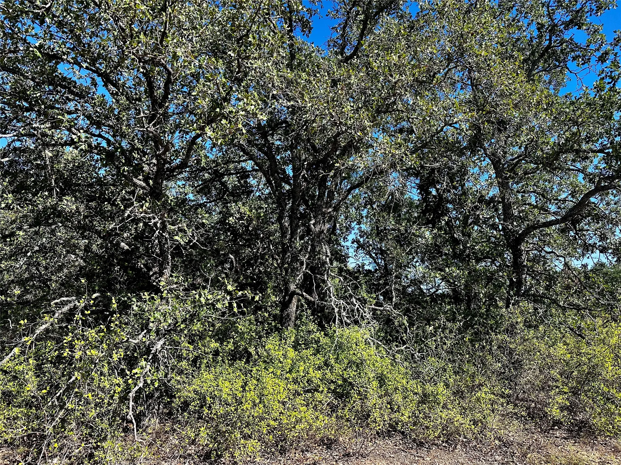 Improved Land For Sale in Eastland County , 3594 Fm-8, Gorman, Texas 76454, 0, 0, Garage spaces, 0 Sqft, built in 0, mls#21409955, Real Estate Agent in Gorman, Homes For Sale in Eastland county, Homes For Sale in Gorman, Realtor in Gorman Texas, Real Estate Brokerage Independent Realty Texas, Luminita Cordes Realtor