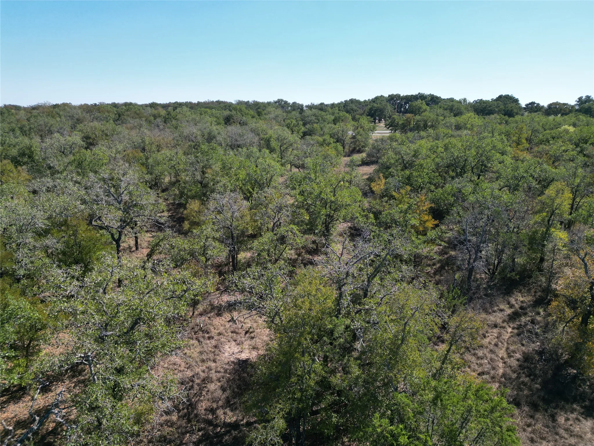 Improved Land For Sale in Eastland County , 3594 Fm-8, Gorman, Texas 76454, 0, 0, Garage spaces, 0 Sqft, built in 0, mls#21409955, Real Estate Agent in Gorman, Homes For Sale in Eastland county, Homes For Sale in Gorman, Realtor in Gorman Texas, Real Estate Brokerage Independent Realty Texas, Luminita Cordes Realtor
