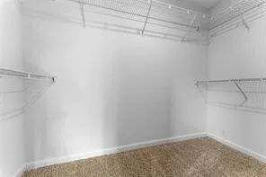 Townhouse For Rent in Collin County , 1301 Parker Drive, Princeton, Texas 75407, 3 Bedroom, 3 Bathroom, 2 Garage spaces, 1,550 Sqft, built in 2022, mls#21410117, Real Estate Agent in Princeton, Homes For Rent in Collin county, Homes For Rent in Princeton, Realtor in Princeton Texas, Real Estate Brokerage Independent Realty Texas, Luminita Cordes Realtor
