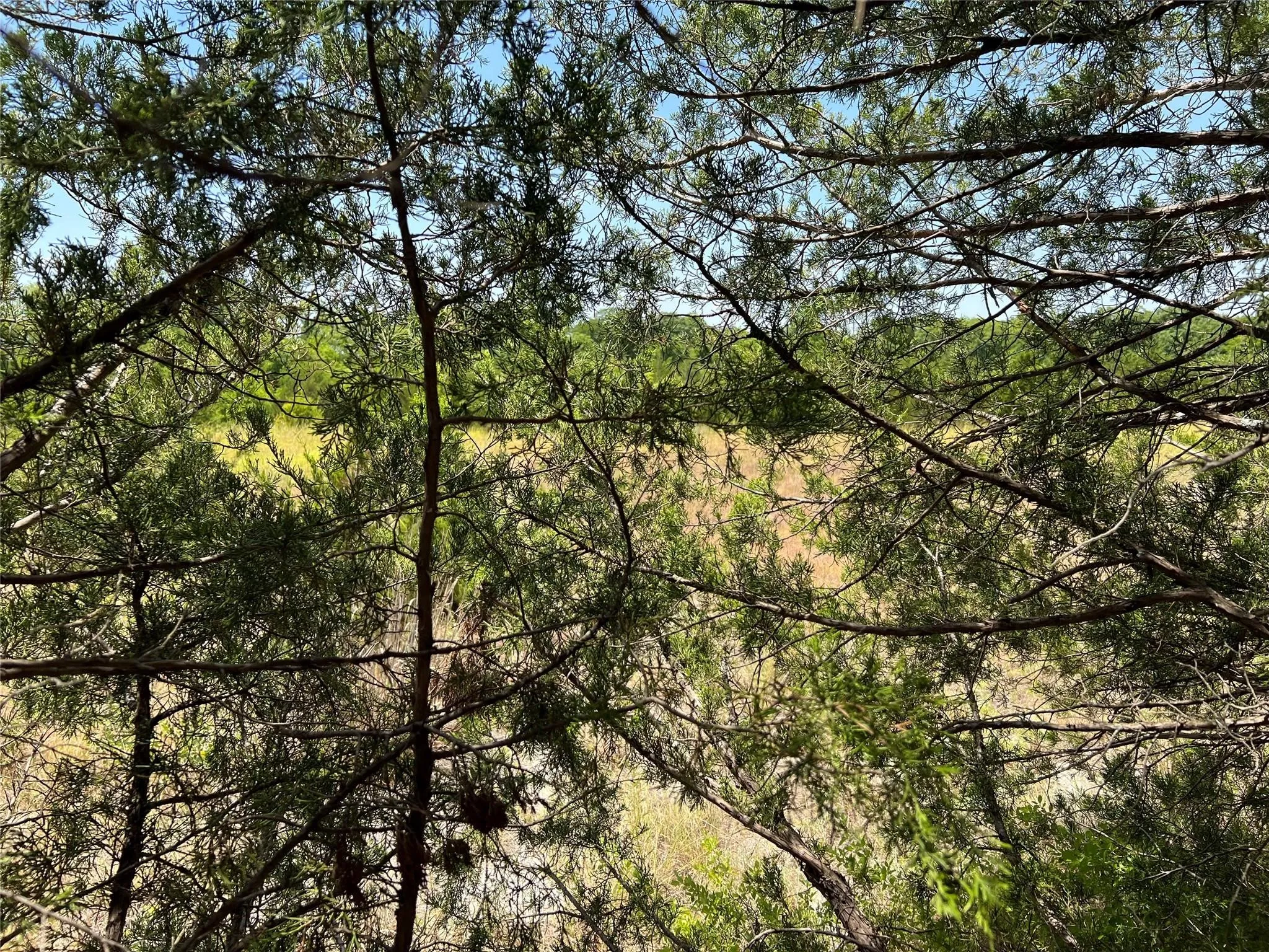 Unimproved Land For Sale in Grayson County , 11AC Pilot Grove Road, Whitewright, Texas 75491, 0, 0, Garage spaces, 0 Sqft, built in 0, mls#21410186, Real Estate Agent in Whitewright, Homes For Sale in Grayson county, Homes For Sale in Whitewright, Realtor in Whitewright Texas, Real Estate Brokerage Independent Realty Texas, Luminita Cordes Realtor