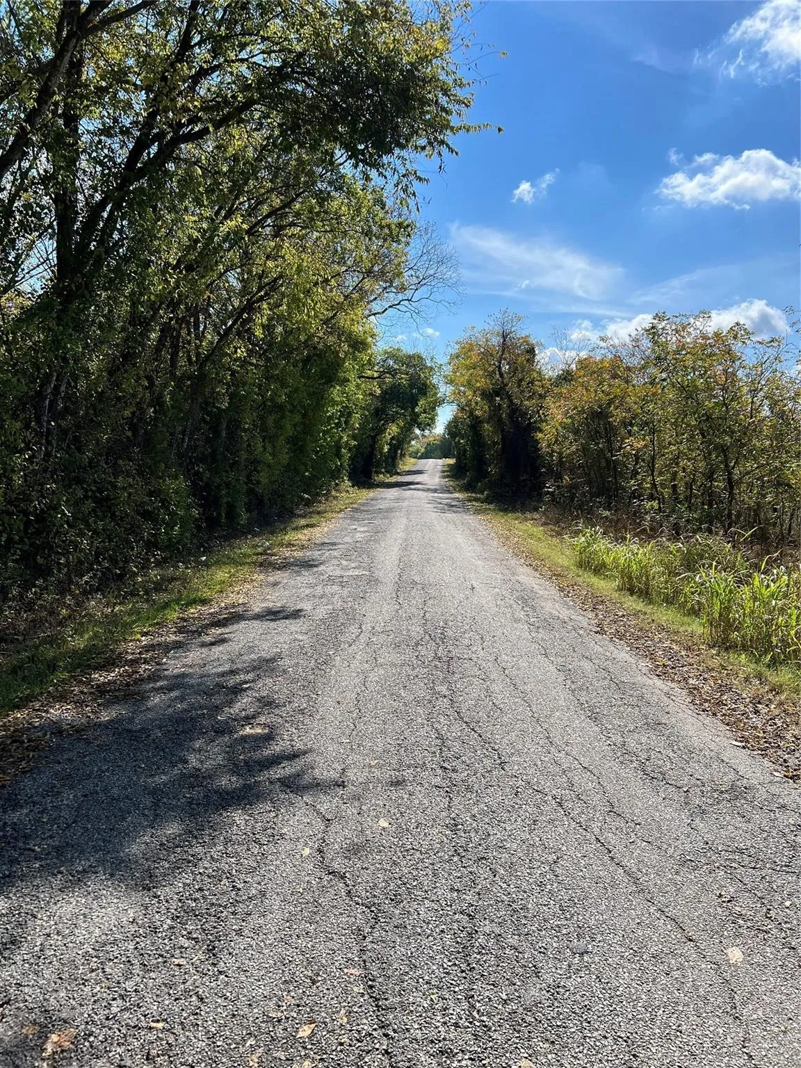 Unimproved Land For Sale in Grayson County , 11AC Pilot Grove Road, Whitewright, Texas 75491, 0, 0, Garage spaces, 0 Sqft, built in 0, mls#21410186, Real Estate Agent in Whitewright, Homes For Sale in Grayson county, Homes For Sale in Whitewright, Realtor in Whitewright Texas, Real Estate Brokerage Independent Realty Texas, Luminita Cordes Realtor