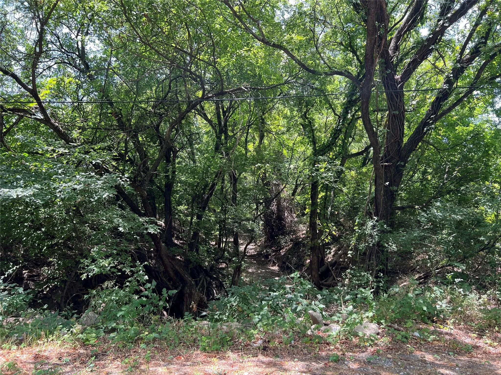 Unimproved Land For Sale in Grayson County , 11AC Pilot Grove Road, Whitewright, Texas 75491, 0, 0, Garage spaces, 0 Sqft, built in 0, mls#21410186, Real Estate Agent in Whitewright, Homes For Sale in Grayson county, Homes For Sale in Whitewright, Realtor in Whitewright Texas, Real Estate Brokerage Independent Realty Texas, Luminita Cordes Realtor