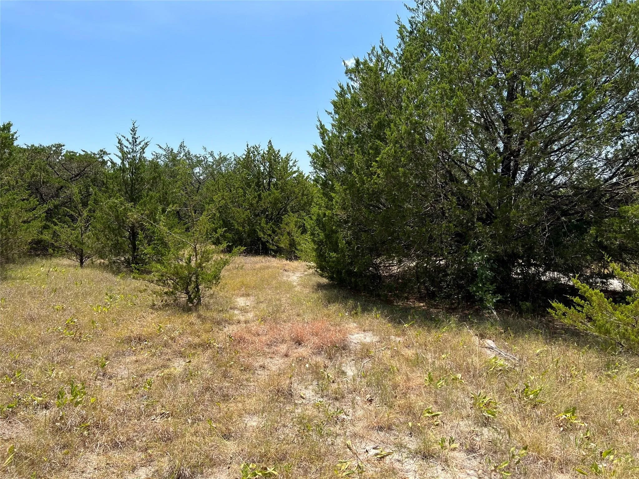 Unimproved Land For Sale in Grayson County , 11AC Pilot Grove Road, Whitewright, Texas 75491, 0, 0, Garage spaces, 0 Sqft, built in 0, mls#21410186, Real Estate Agent in Whitewright, Homes For Sale in Grayson county, Homes For Sale in Whitewright, Realtor in Whitewright Texas, Real Estate Brokerage Independent Realty Texas, Luminita Cordes Realtor