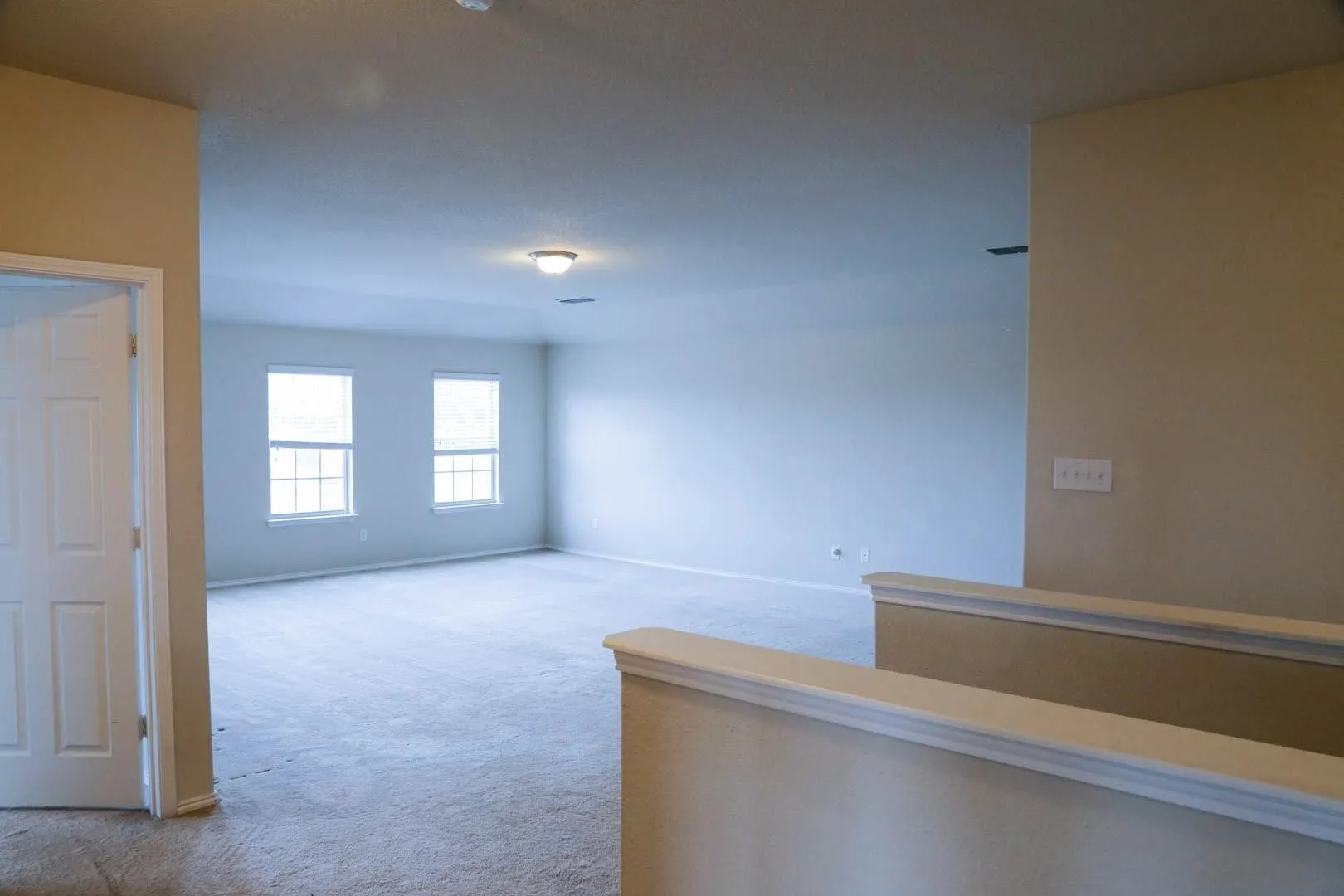 Expansive room featuring neutral-toned carpeting, two windows providing natural illumination, and a ceiling-mounted light fixture