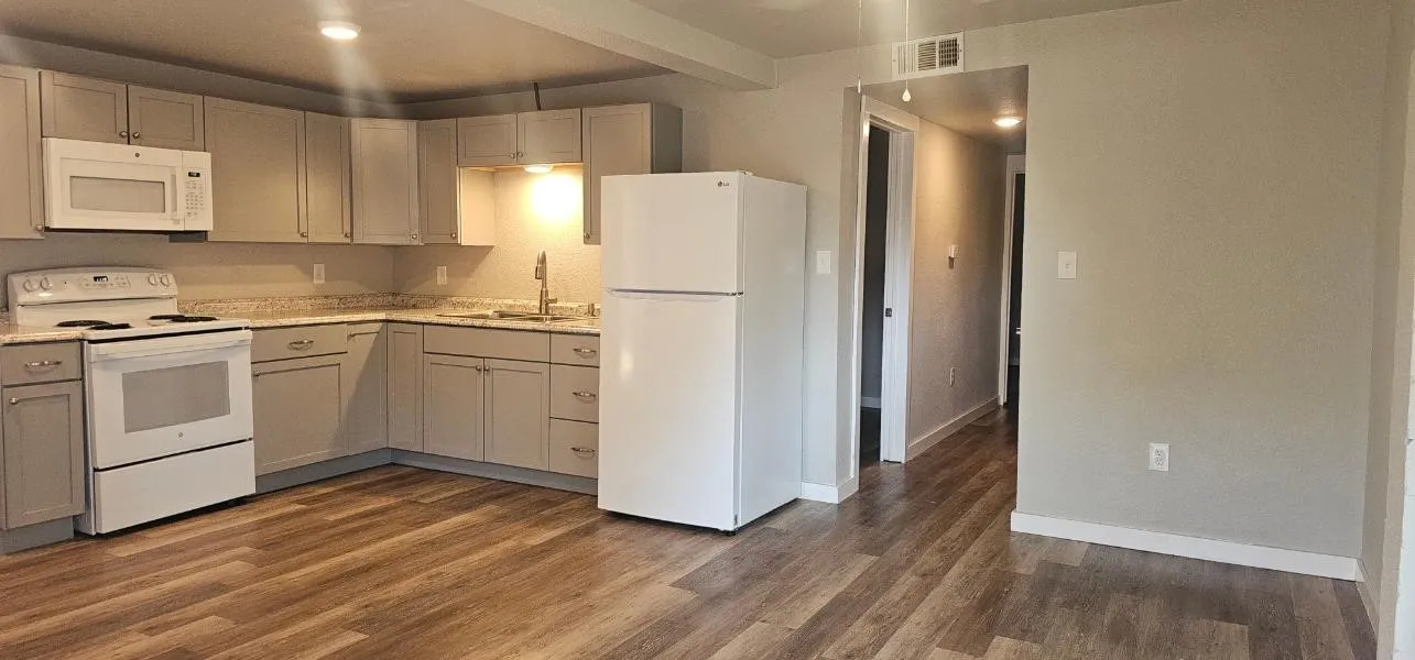 Quadruplex For Sale in Denton County , 2615 N Elm Street, Denton, Texas 76201, 6 Bedroom, 4 Bathroom, Garage spaces, 0 Sqft, built in 1947, mls#21408264, Real Estate Agent in Denton, Homes For Sale in Denton county, Homes For Sale in Denton, Realtor in Denton Texas, Real Estate Brokerage Independent Realty Texas, Luminita Cordes Realtor
