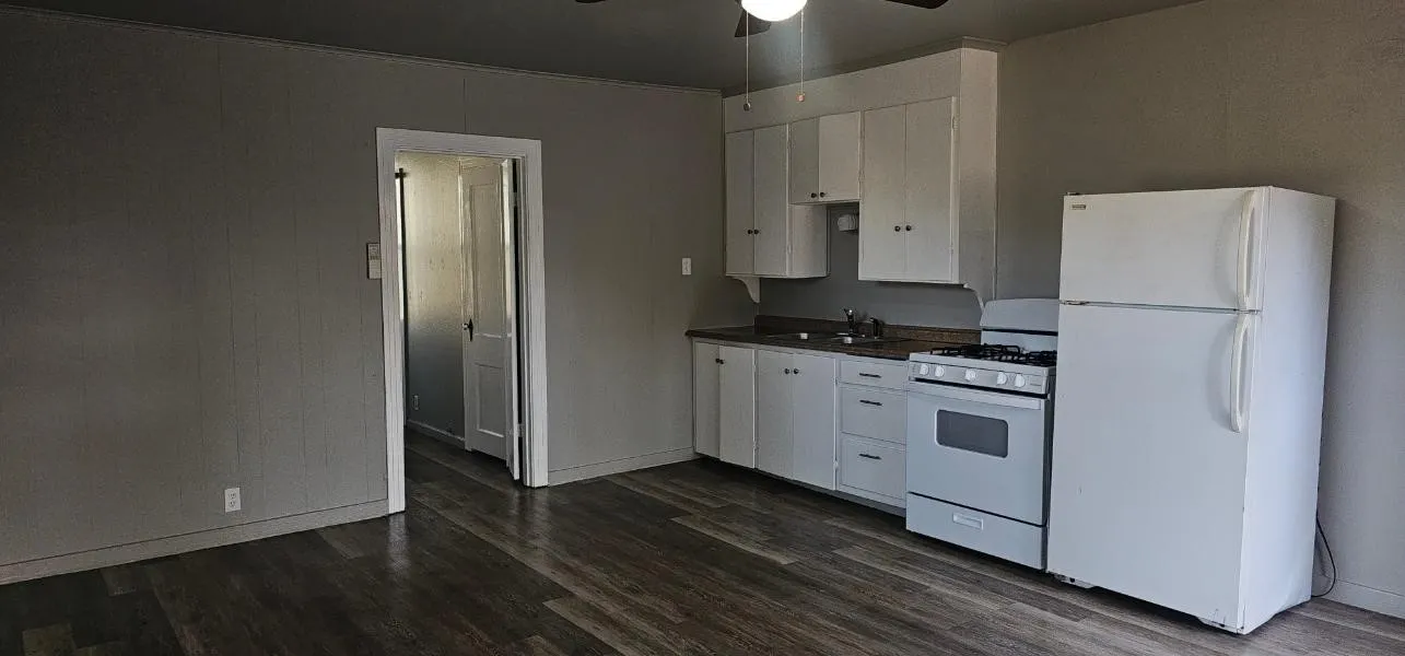 Quadruplex For Sale in Denton County , 2615 N Elm Street, Denton, Texas 76201, 6 Bedroom, 4 Bathroom, Garage spaces, 0 Sqft, built in 1947, mls#21408264, Real Estate Agent in Denton, Homes For Sale in Denton county, Homes For Sale in Denton, Realtor in Denton Texas, Real Estate Brokerage Independent Realty Texas, Luminita Cordes Realtor