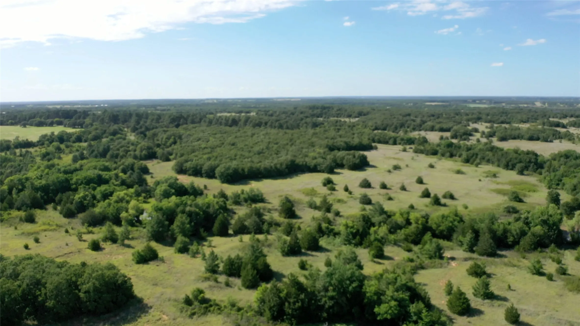 Unimproved Land For Sale in Wise County , 213 County Road 1560, Alvord, Texas 76225, 0, 0, Garage spaces, 0 Sqft, built in 0, mls#21410209, Real Estate Agent in Alvord, Homes For Sale in Wise county, Homes For Sale in Alvord, Realtor in Alvord Texas, Real Estate Brokerage Independent Realty Texas, Luminita Cordes Realtor