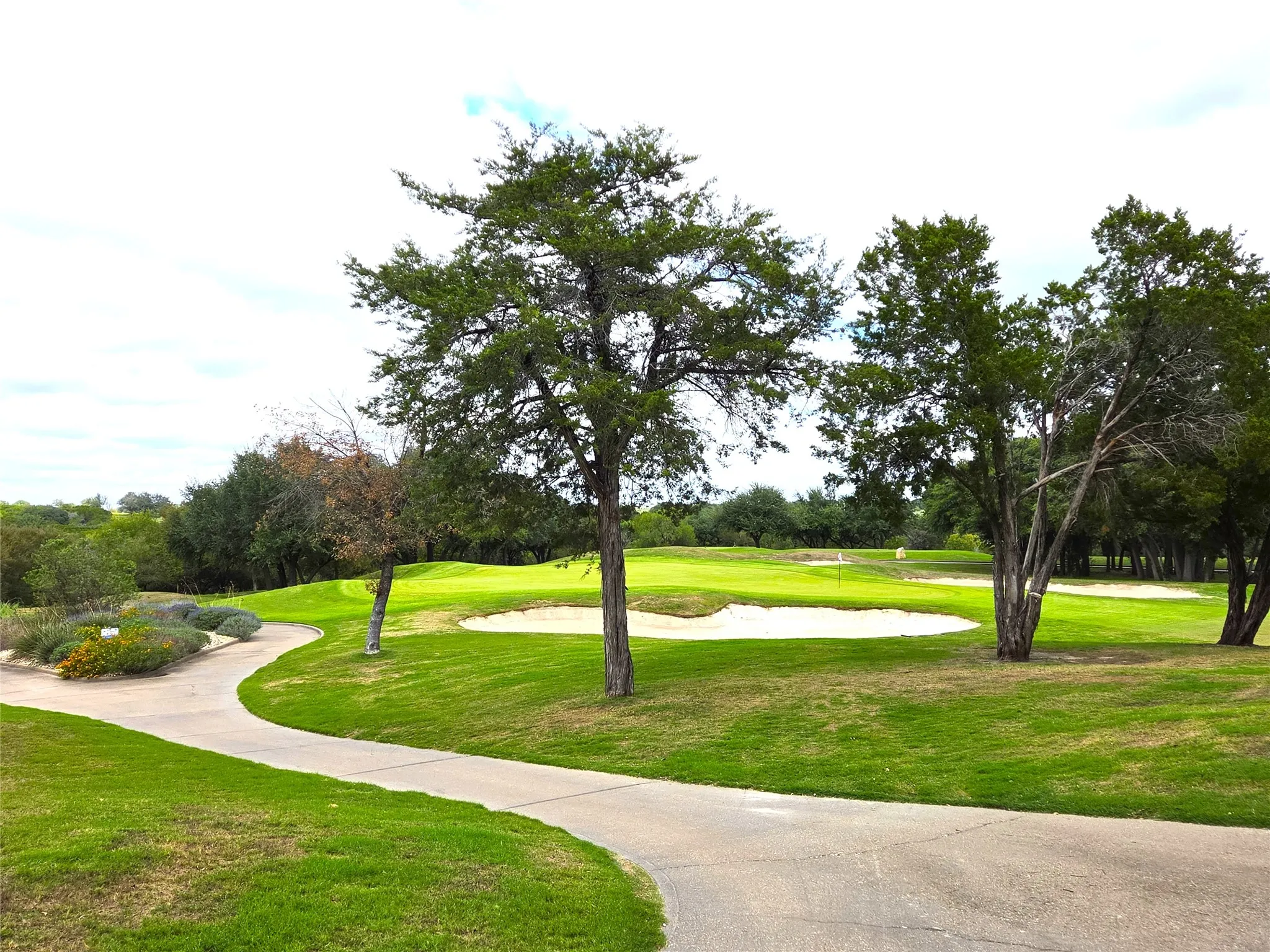 Golf Green and Cart Paths