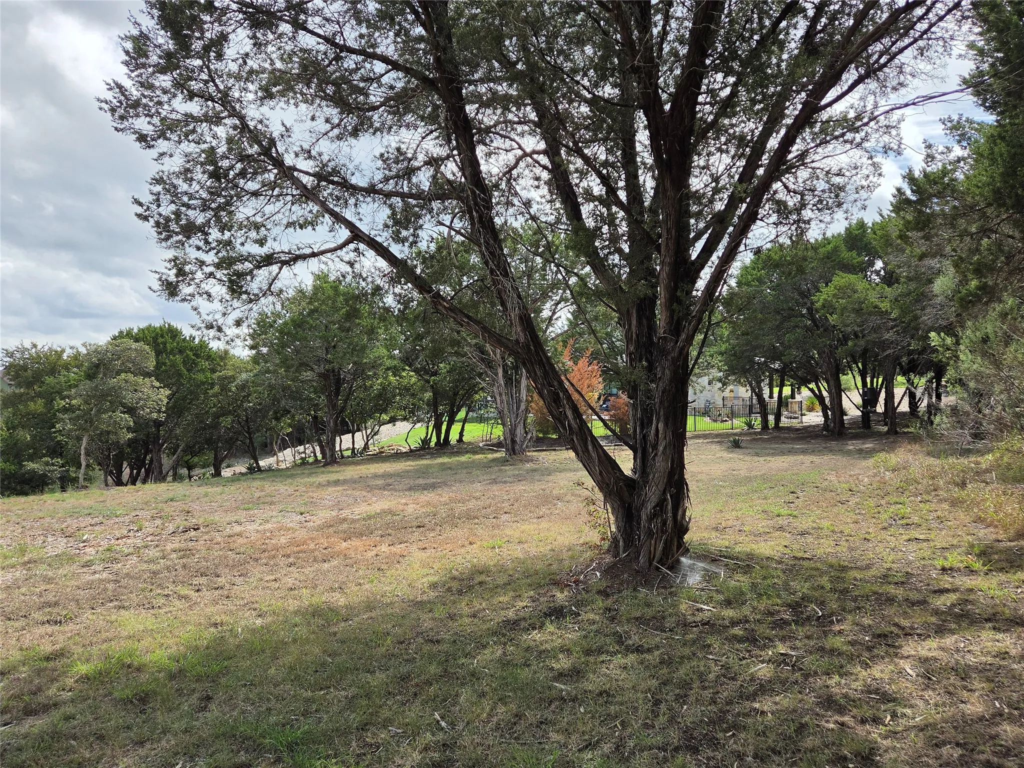 View from Rear of Lot